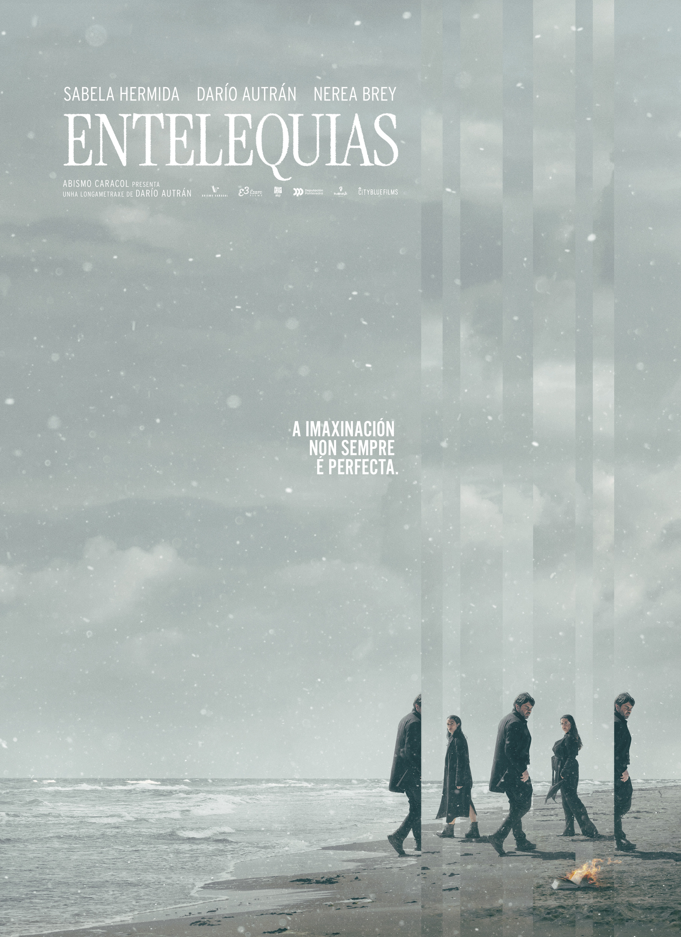 Mega Sized Movie Poster Image for Entelequias 