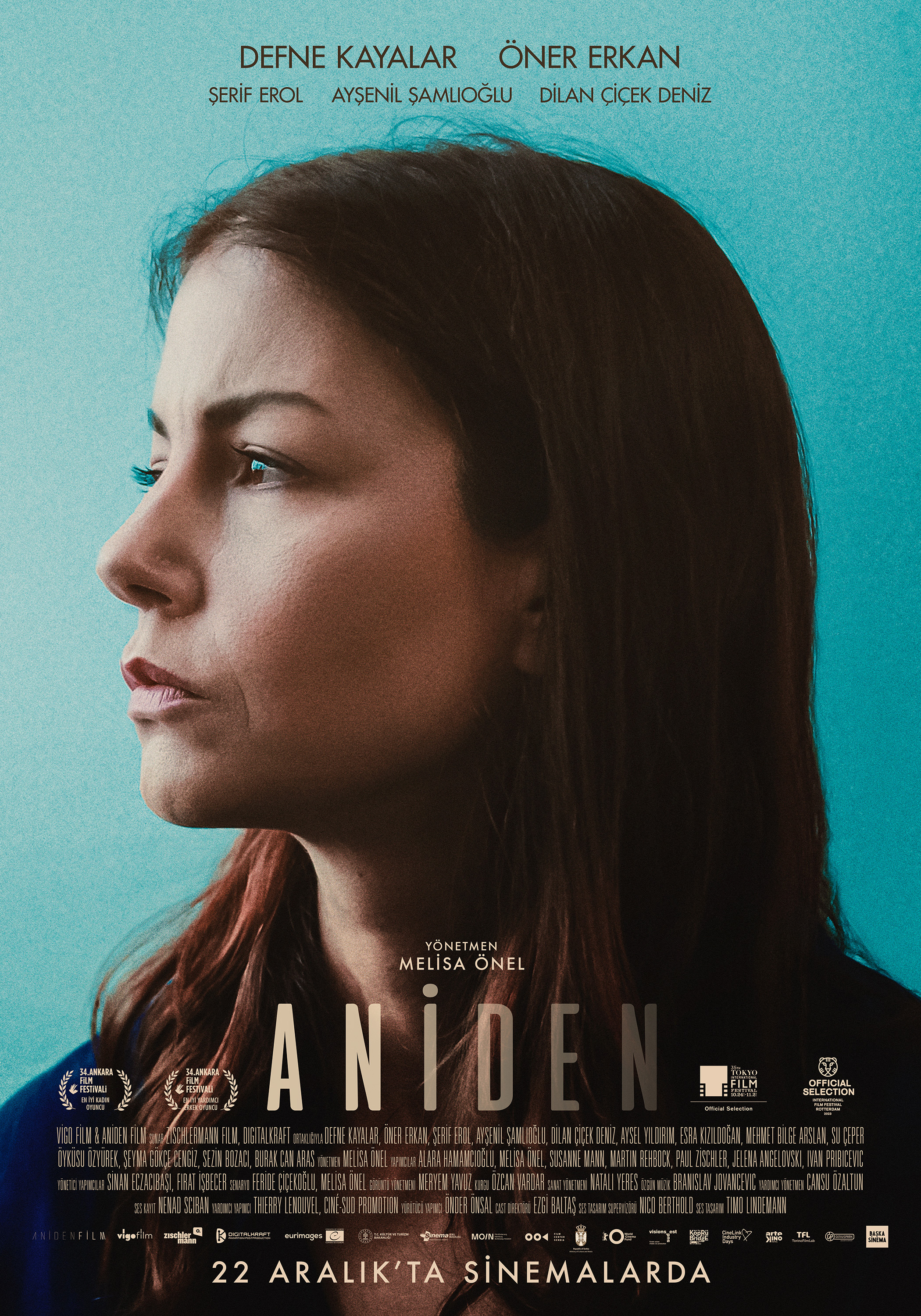 Mega Sized Movie Poster Image for Aniden (#1 of 2)