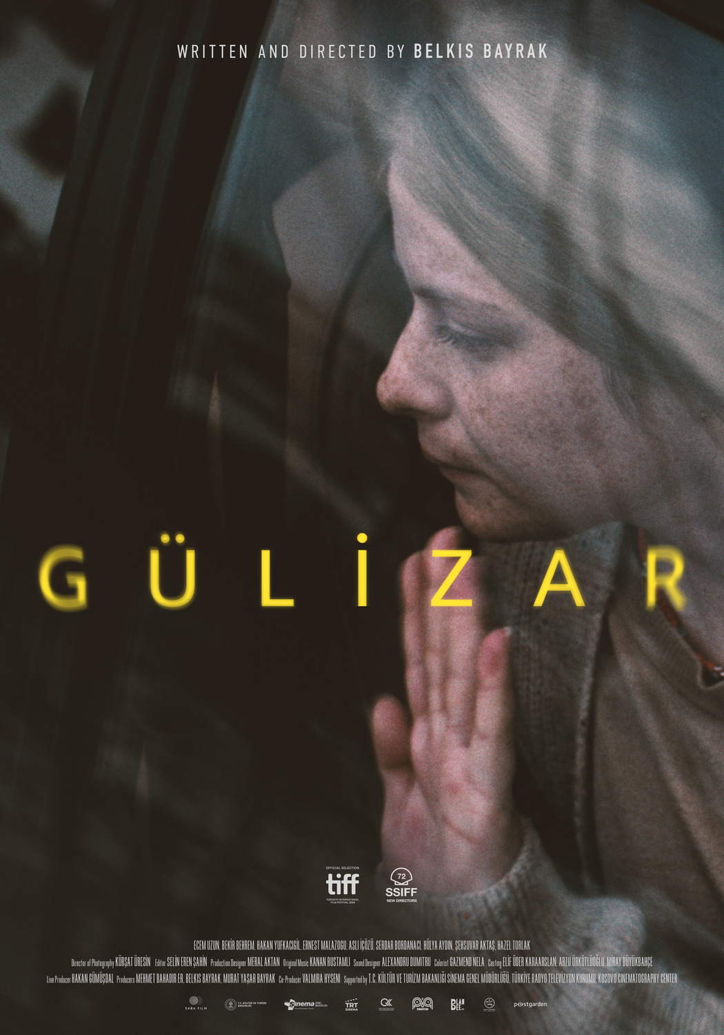 Extra Large Movie Poster Image for Gulizar (#1 of 2)