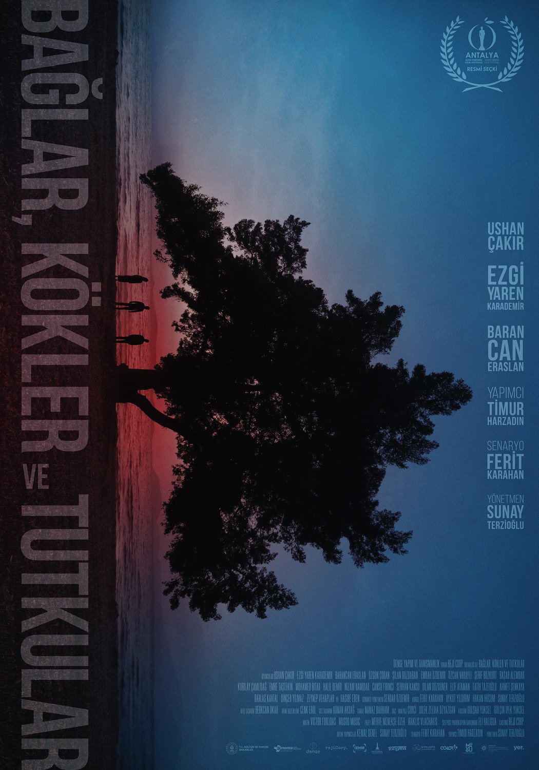 Extra Large Movie Poster Image for Baglar, Kökler ve Tutkular 