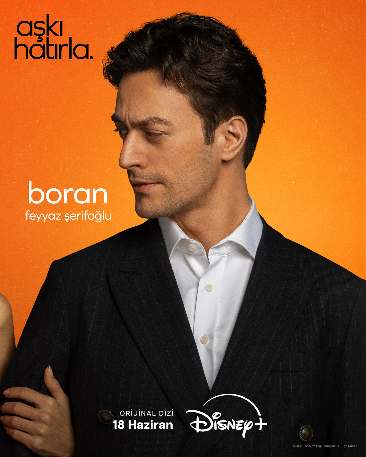 Extra Large TV Poster Image for Aski Hatirla (#10 of 12)