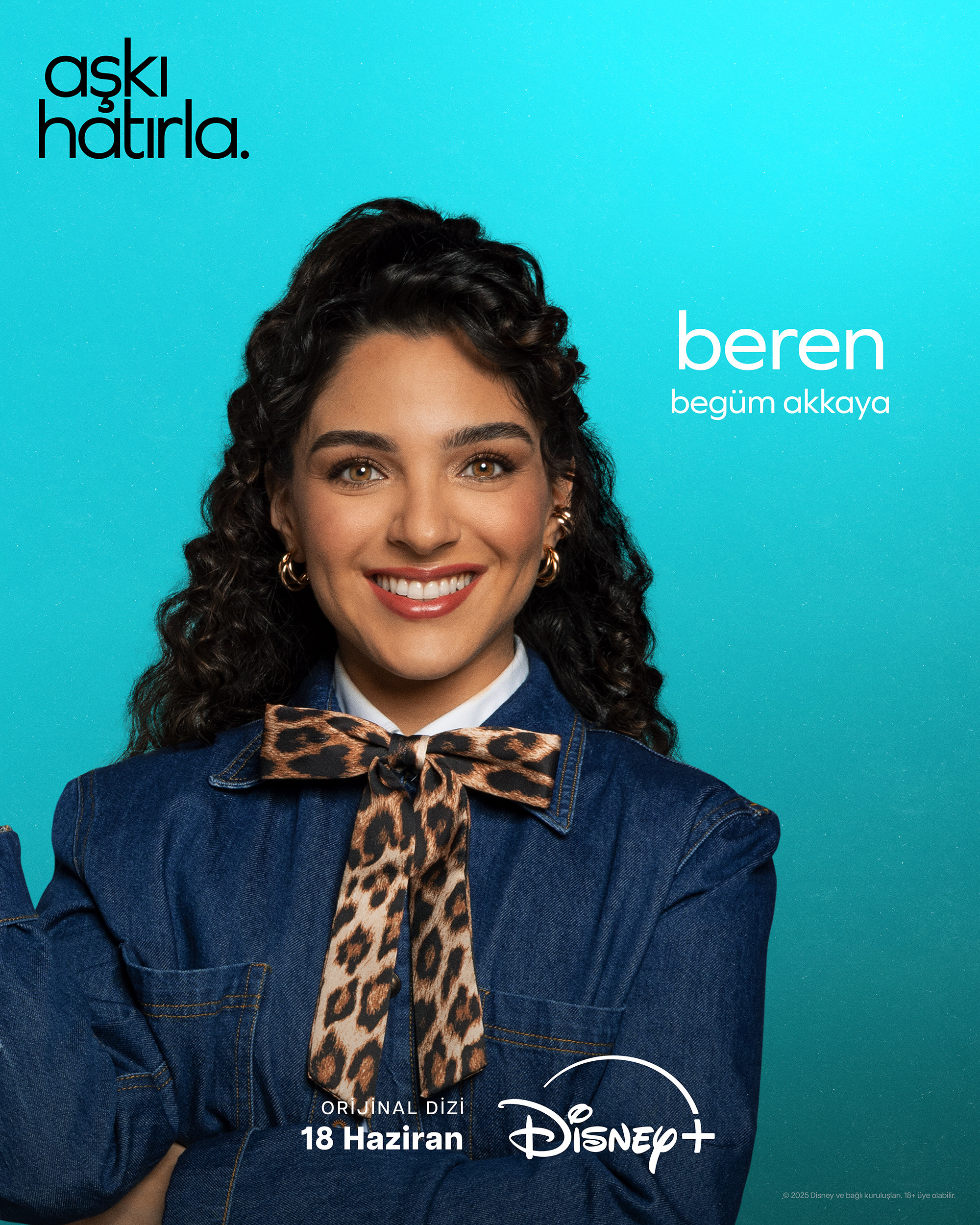 Mega Sized TV Poster Image for Aski Hatirla (#8 of 12)