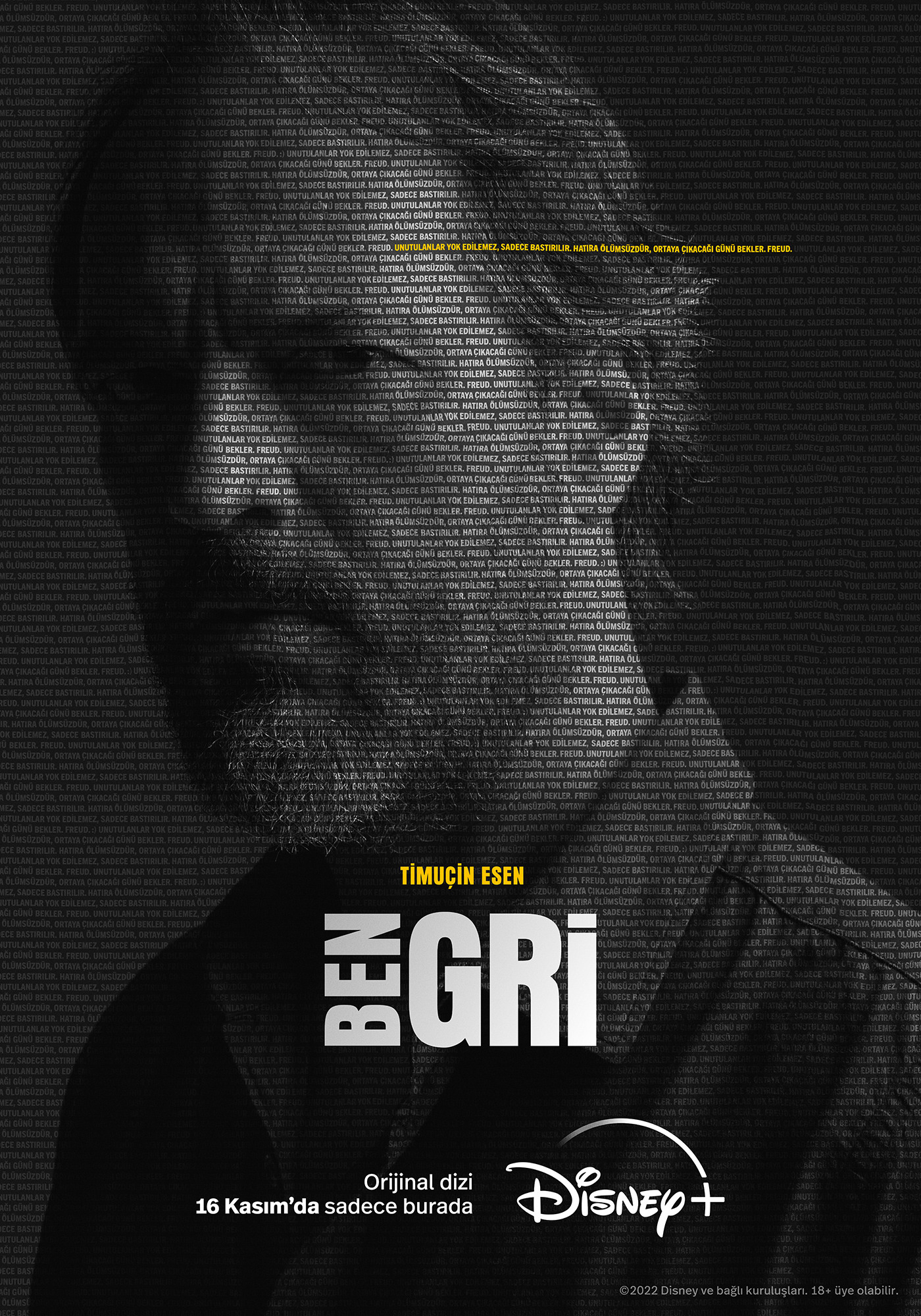 Mega Sized TV Poster Image for Ben Gri (#5 of 11)