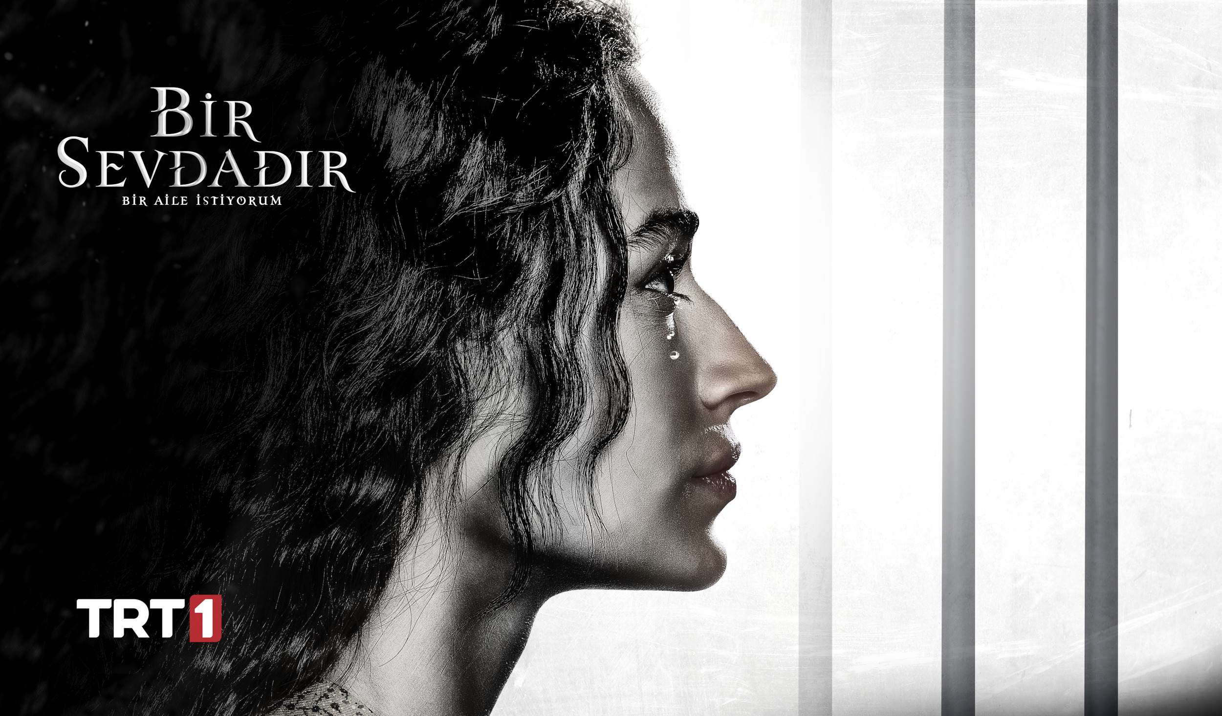 Mega Sized TV Poster Image for Bir Sevdadir (#3 of 3)