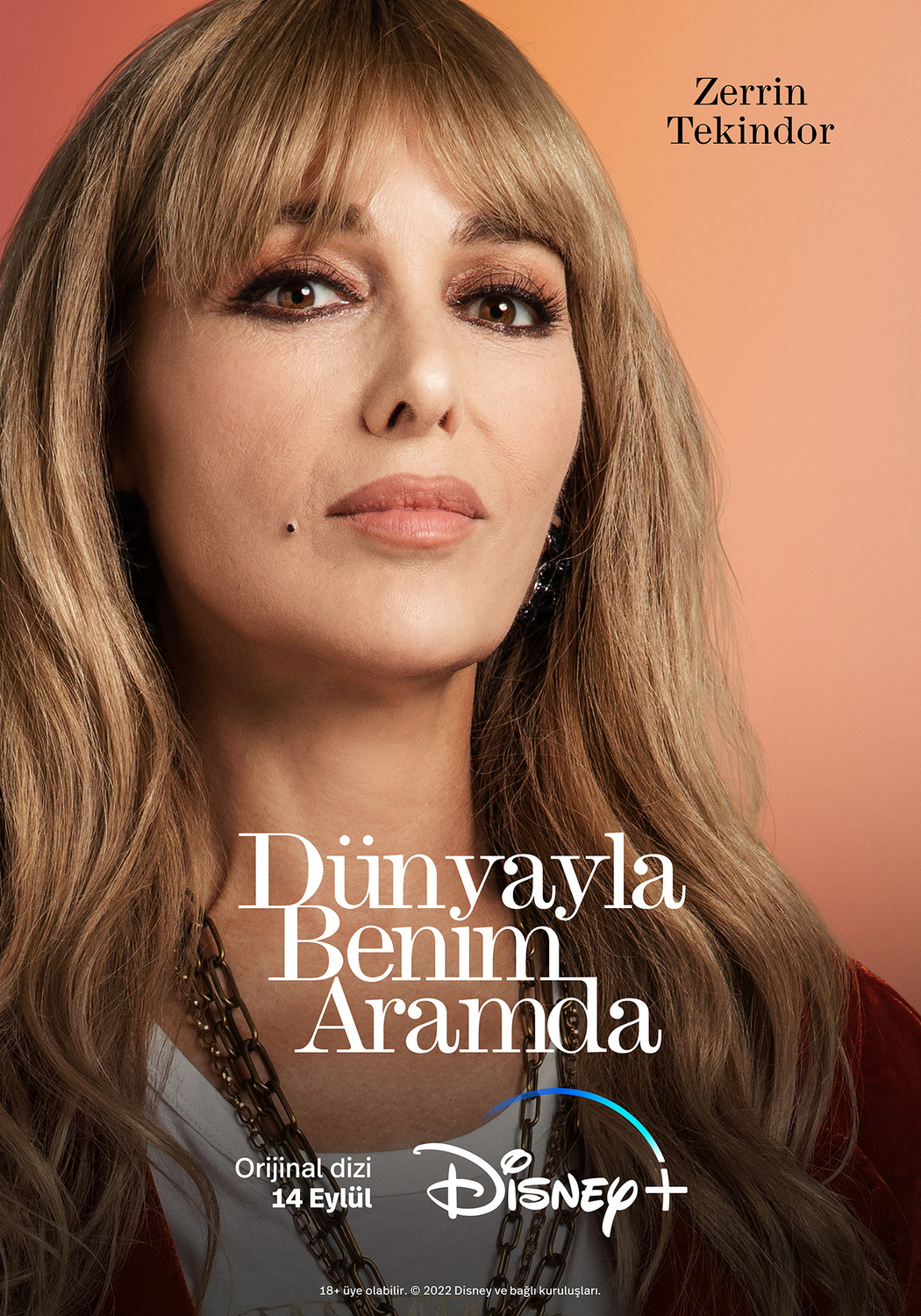 Extra Large TV Poster Image for Dünyayla Benim Aramda (#8 of 11)