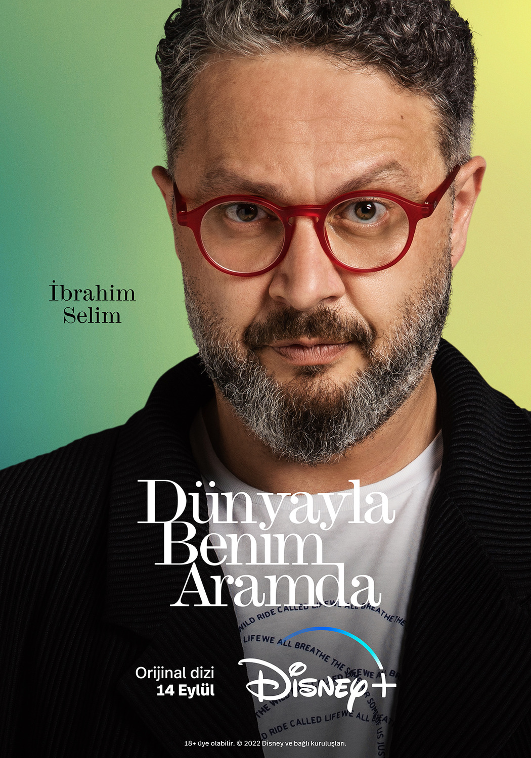 Extra Large TV Poster Image for Dünyayla Benim Aramda (#9 of 11)