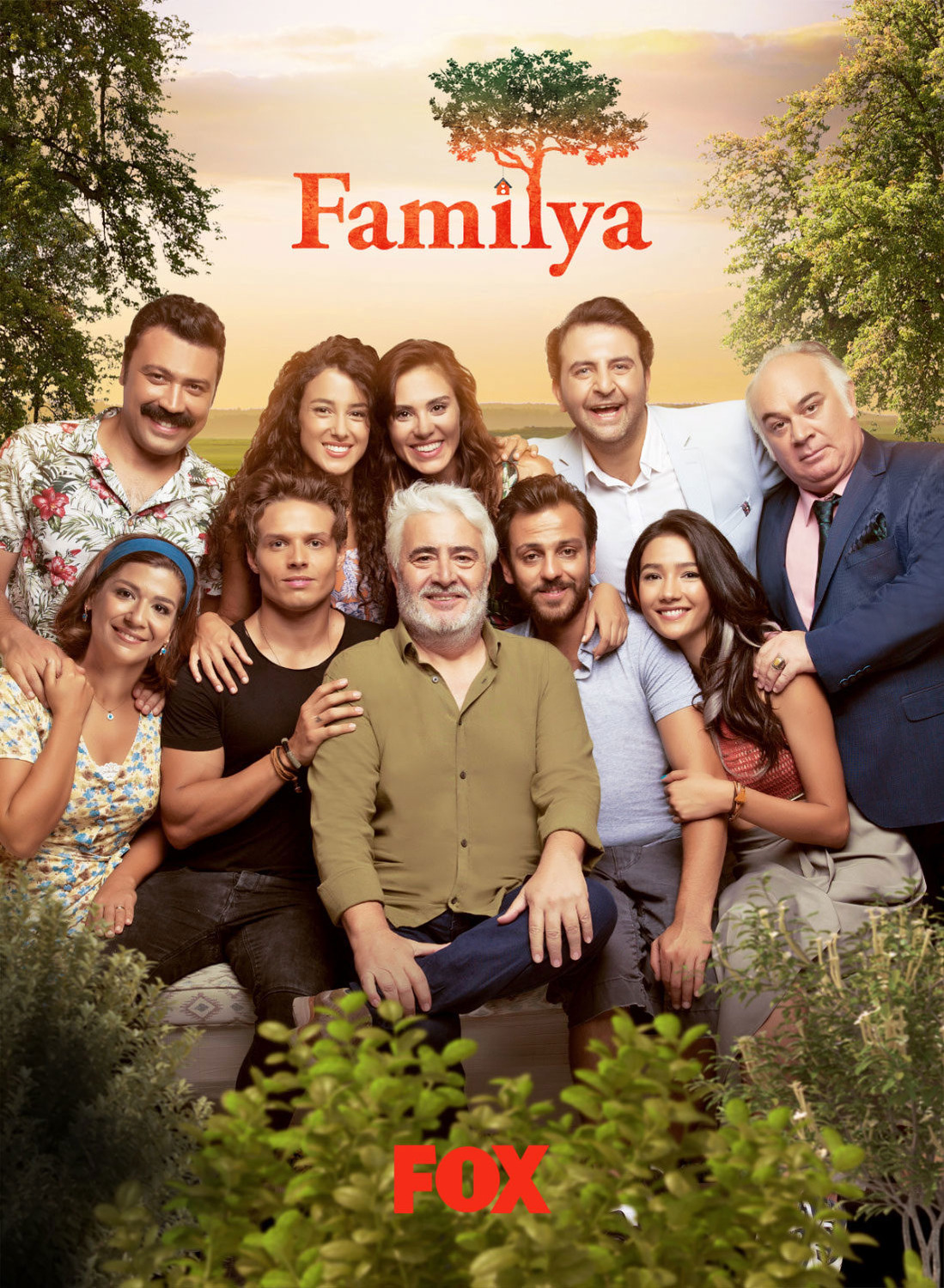 Extra Large TV Poster Image for Familya 