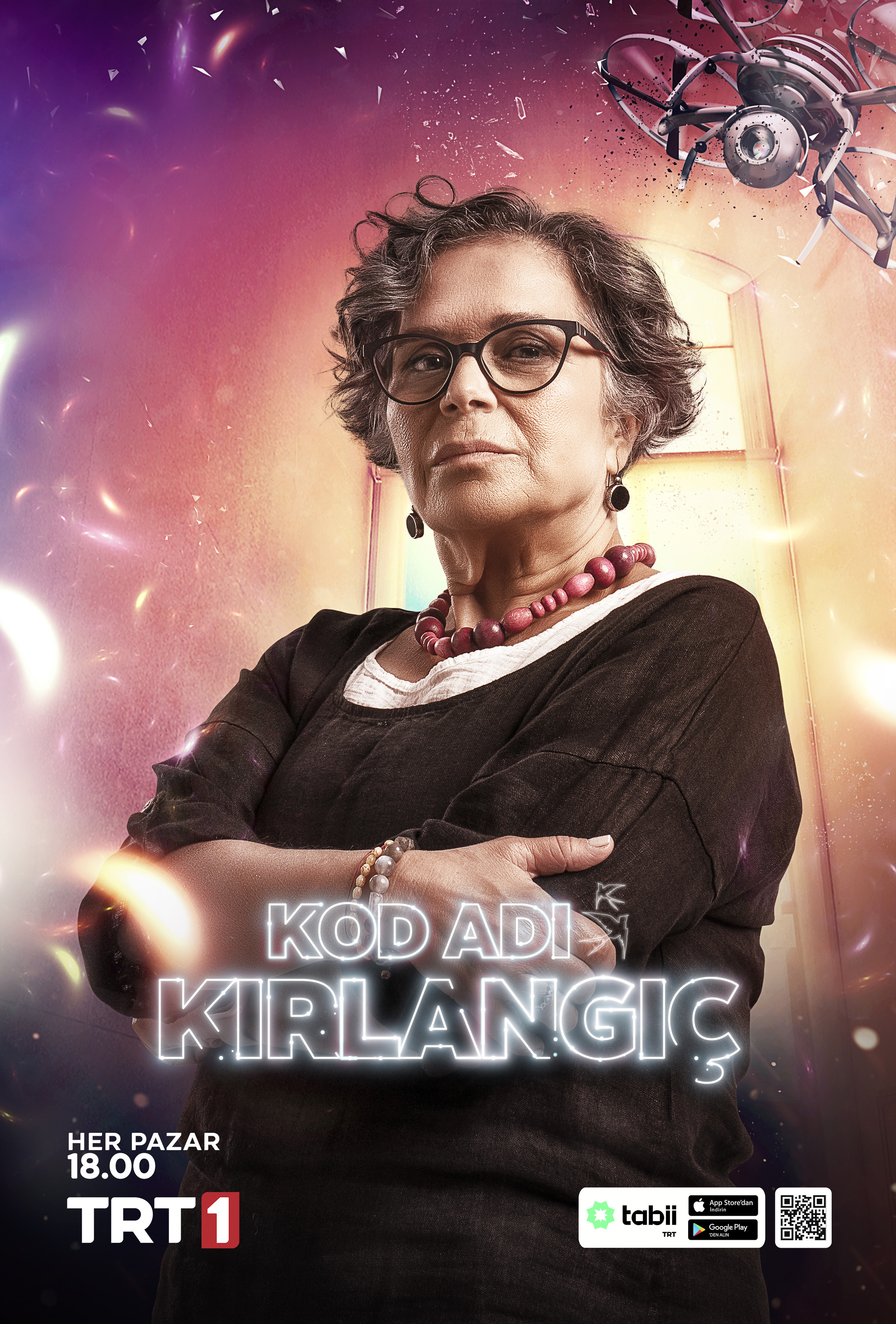 Mega Sized TV Poster Image for Kod Adı Kırlangıç (#6 of 11)