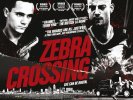 Zebra Crossing (2011) Thumbnail