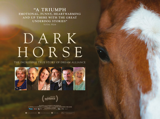 Dark Horse Movie Poster