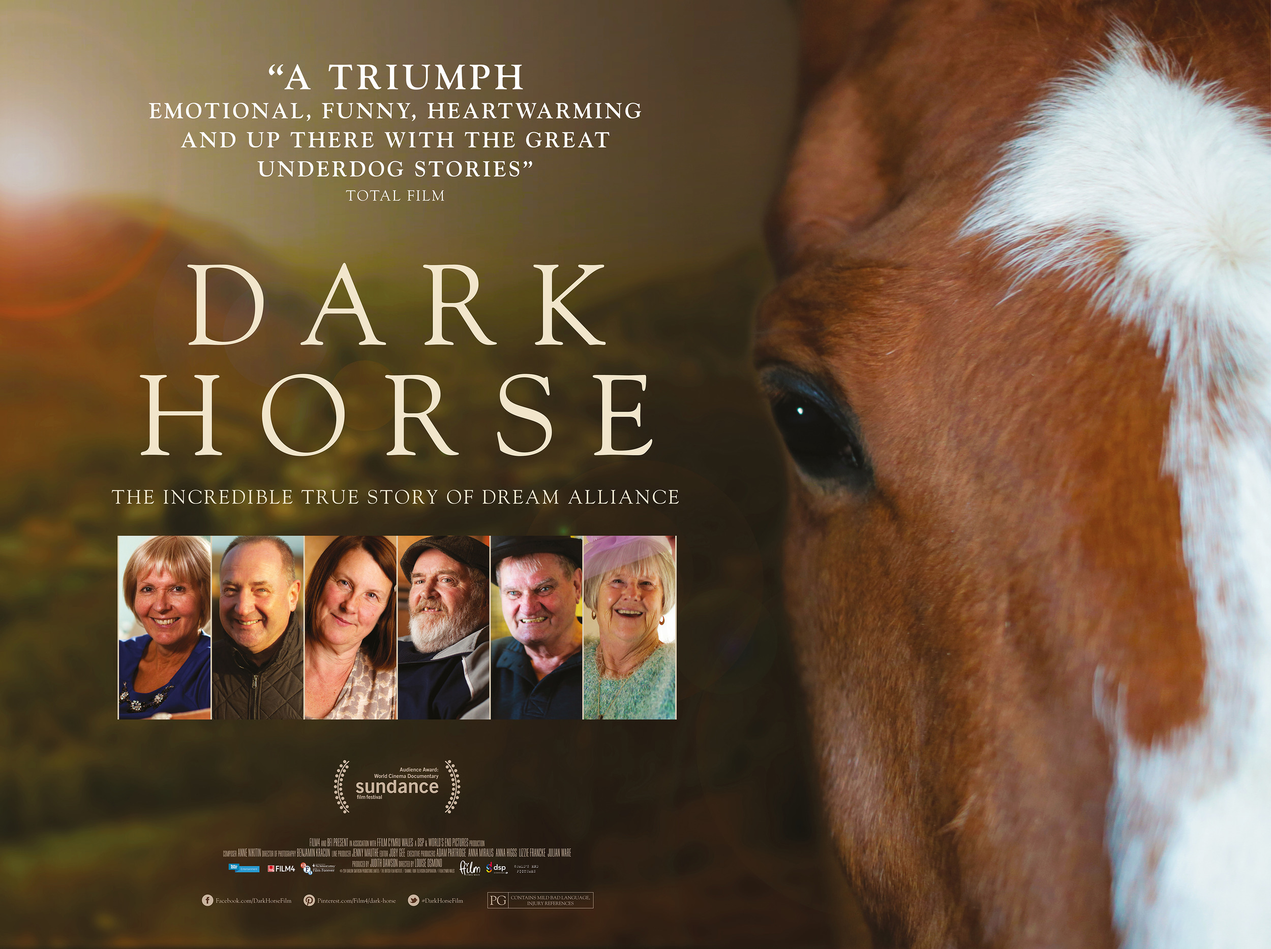 Mega Sized Movie Poster Image for Dark Horse (#1 of 3)
