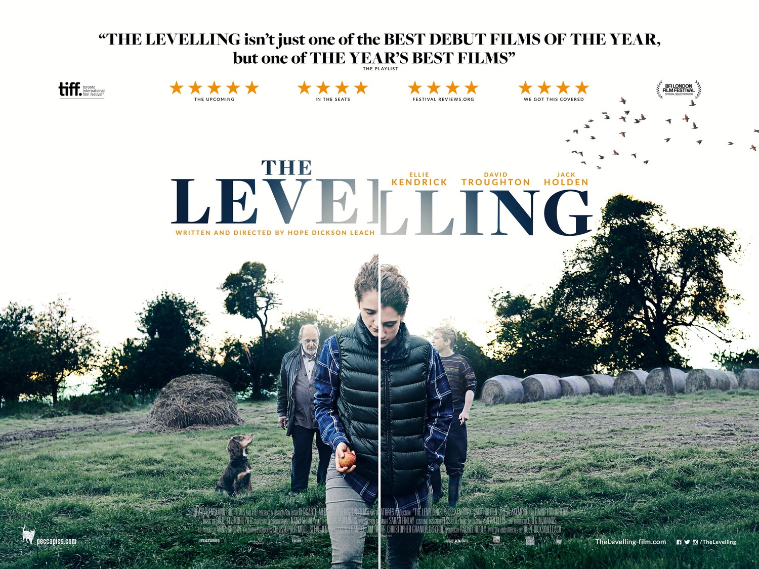 Extra Large Movie Poster Image for The Levelling (#2 of 2)