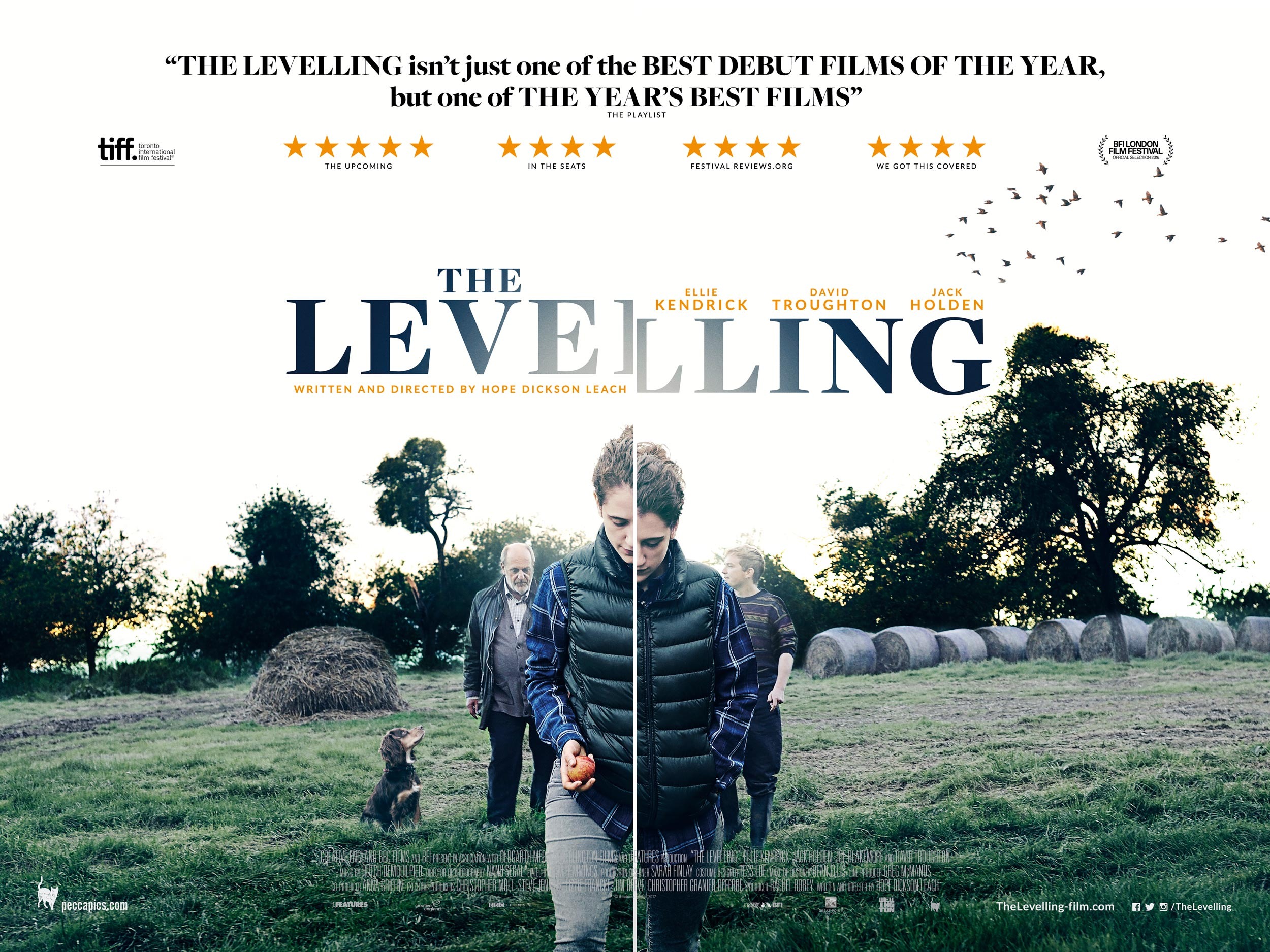 Mega Sized Movie Poster Image for The Levelling (#2 of 2)