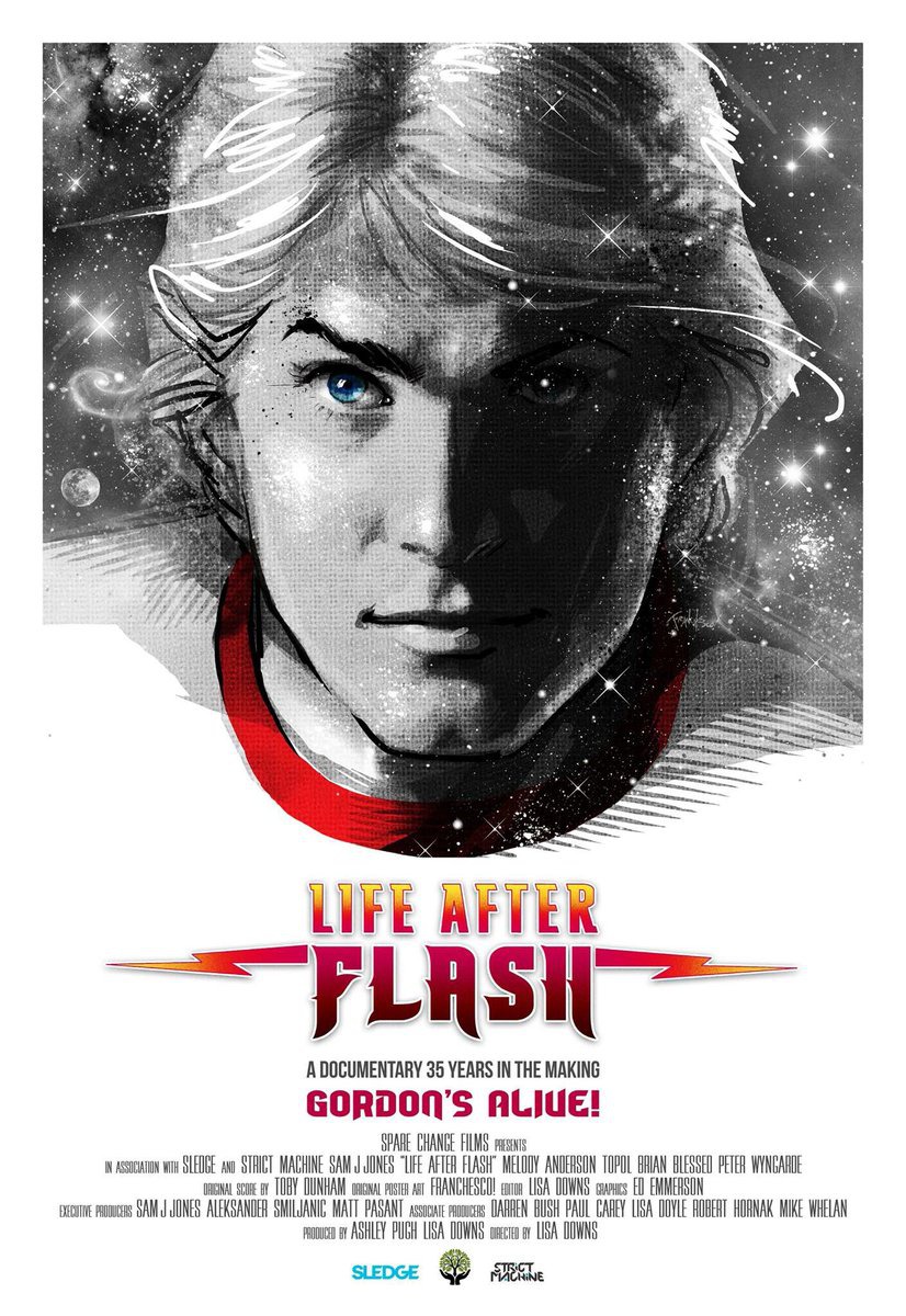Extra Large Movie Poster Image for Life After Flash 