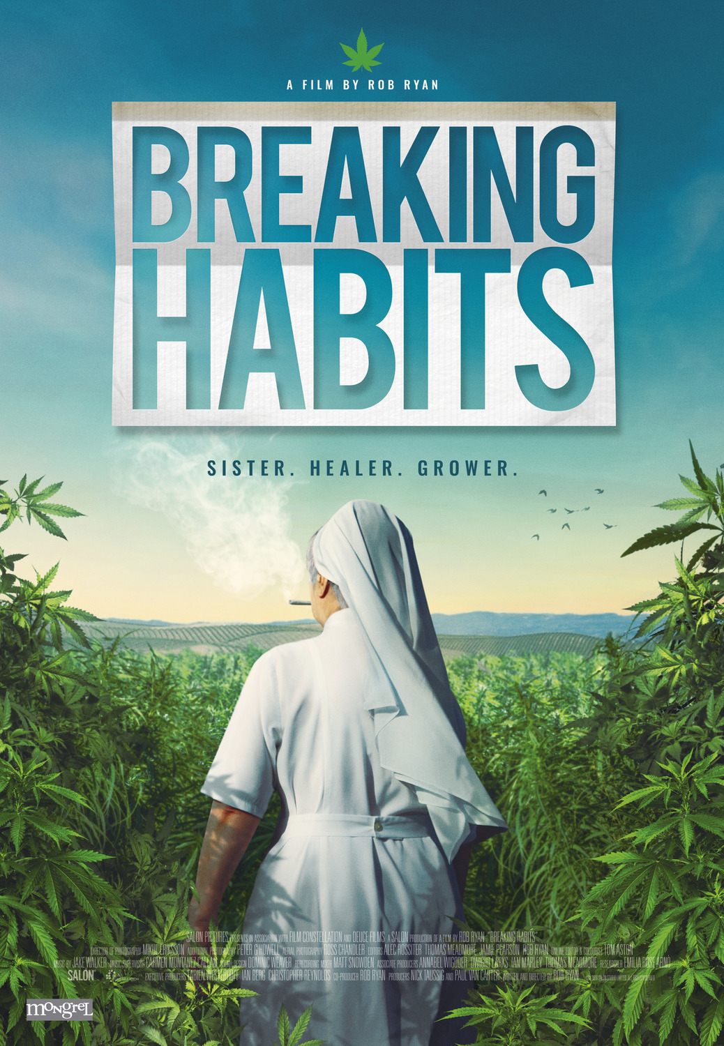 Extra Large Movie Poster Image for Breaking Habits (#2 of 3)