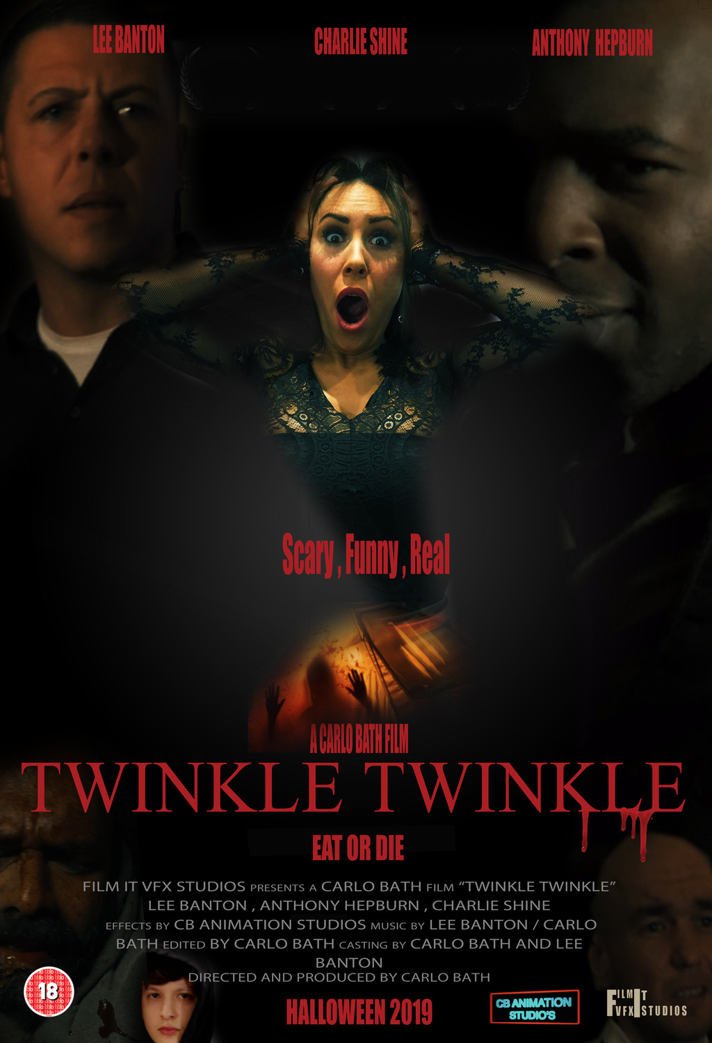 Extra Large Movie Poster Image for Twinkle Twinkle 