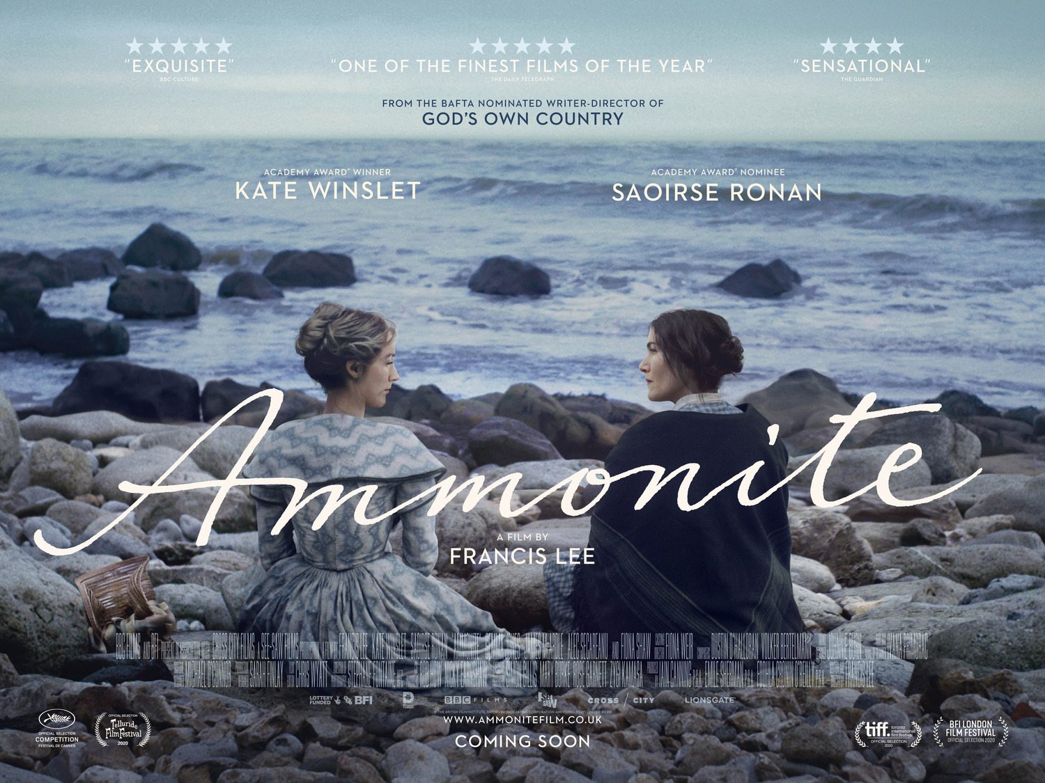 Extra Large Movie Poster Image for Ammonite (#2 of 2)