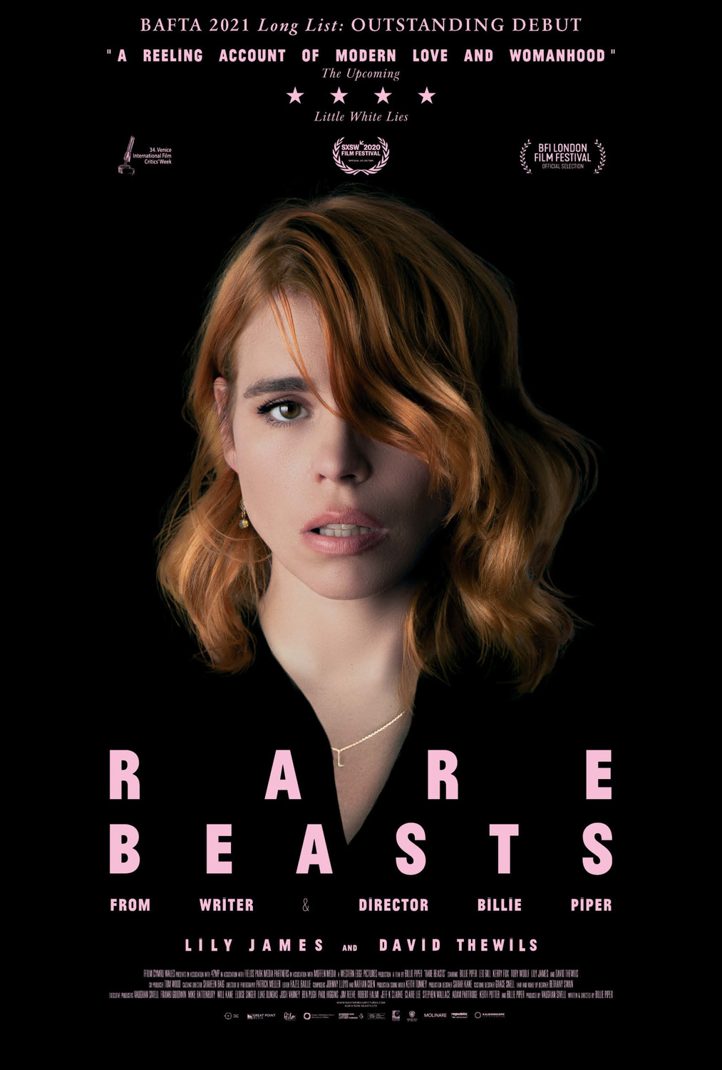 Extra Large Movie Poster Image for Rare Beasts 