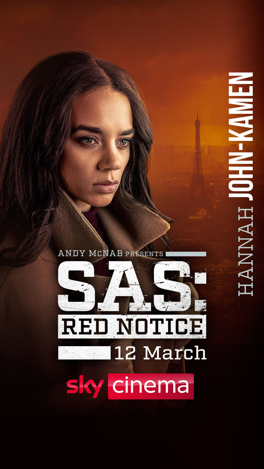 Extra Large Movie Poster Image for SAS: Red Notice (#6 of 11)