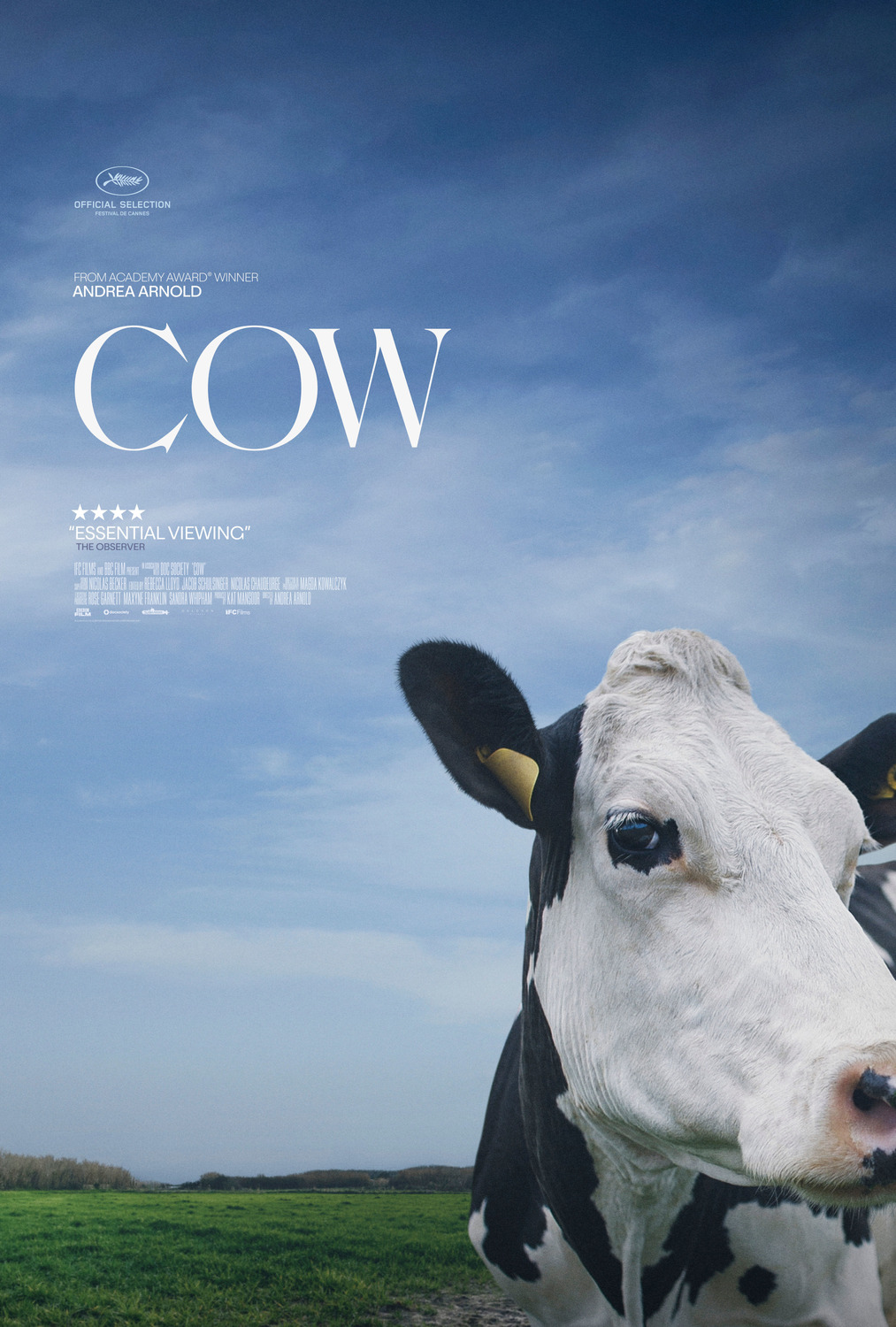 Extra Large Movie Poster Image for Cow (#2 of 3)