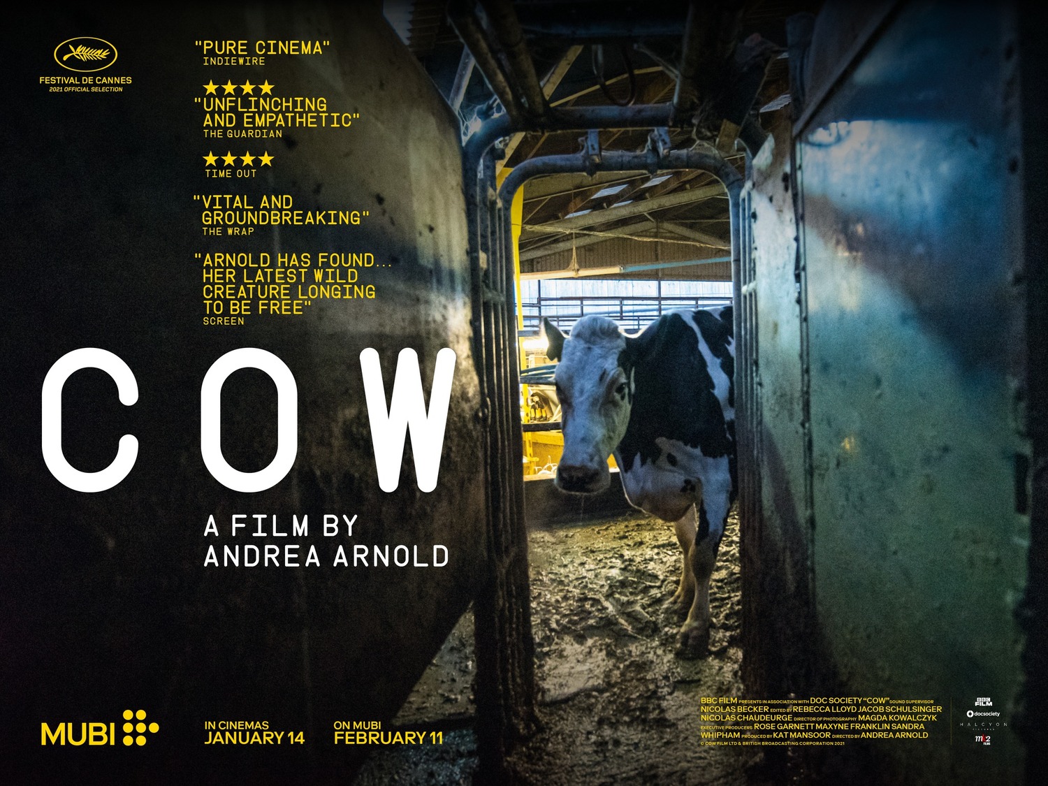 Extra Large Movie Poster Image for Cow (#1 of 3)