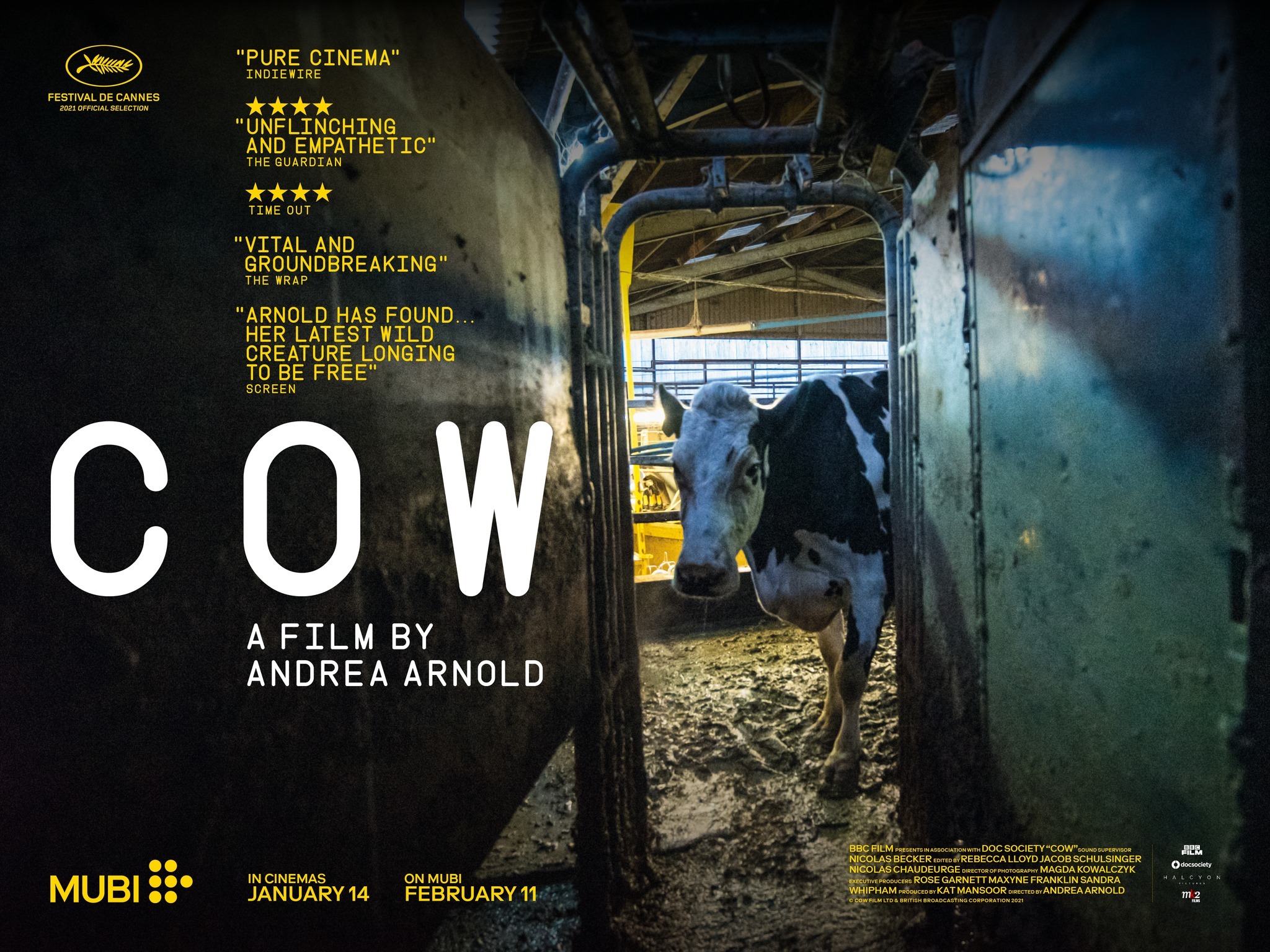 Mega Sized Movie Poster Image for Cow (#1 of 3)