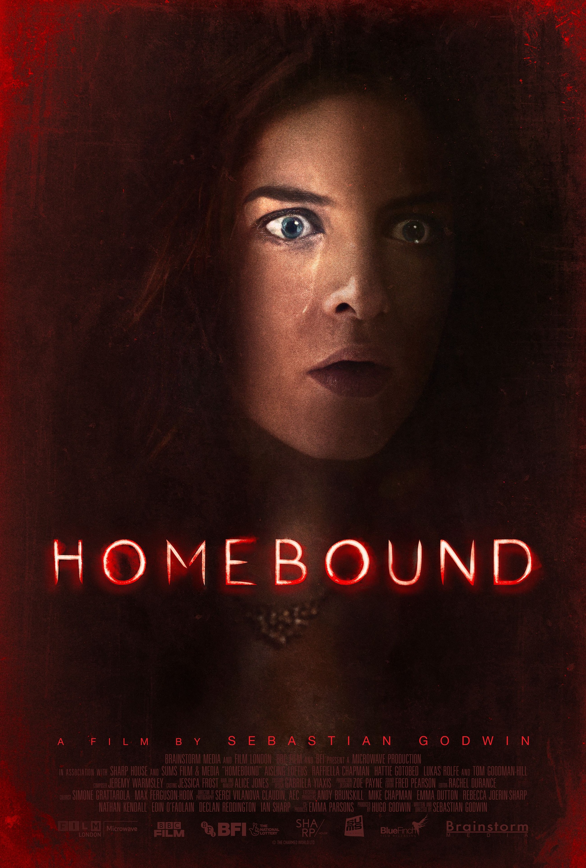 Mega Sized Movie Poster Image for Homebound 