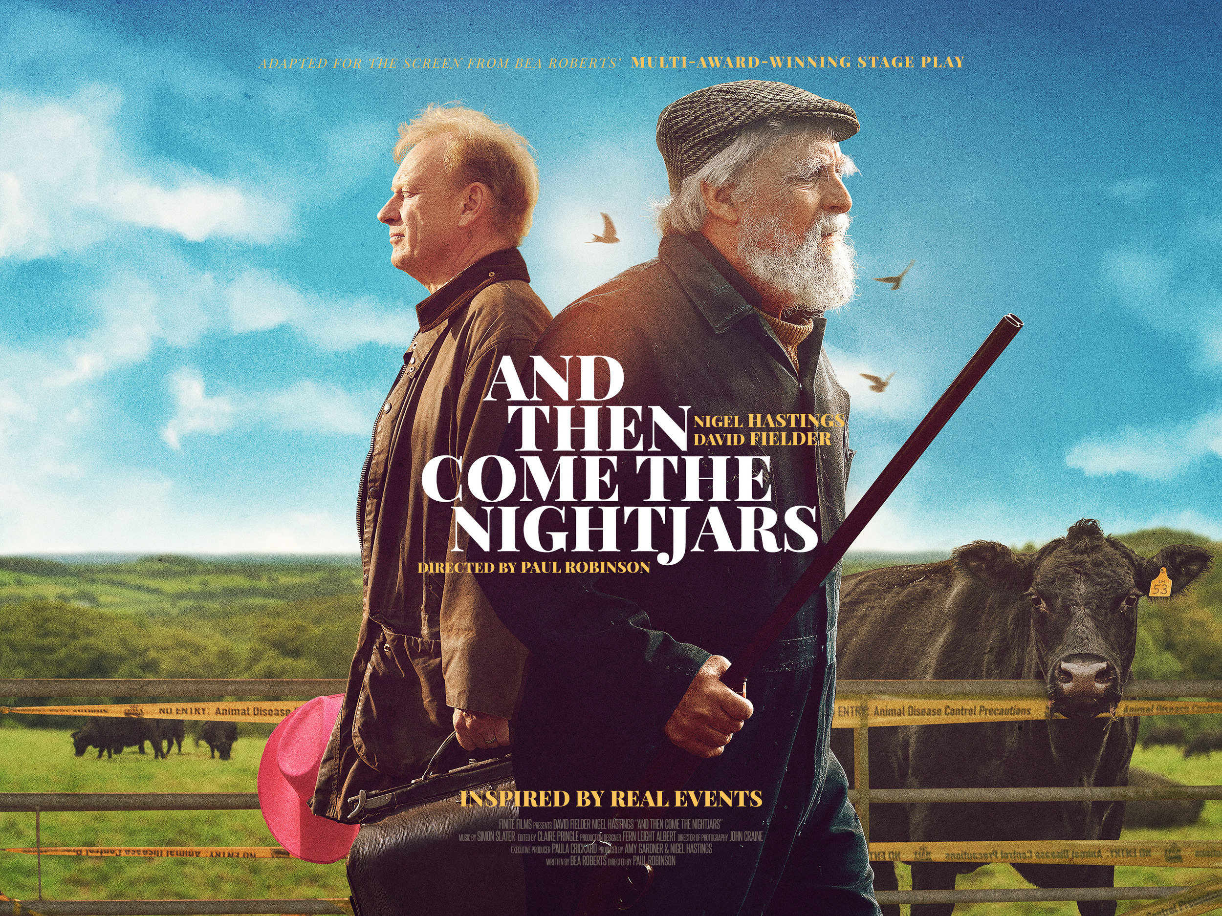 Mega Sized Movie Poster Image for And Then Come the Nightjars 