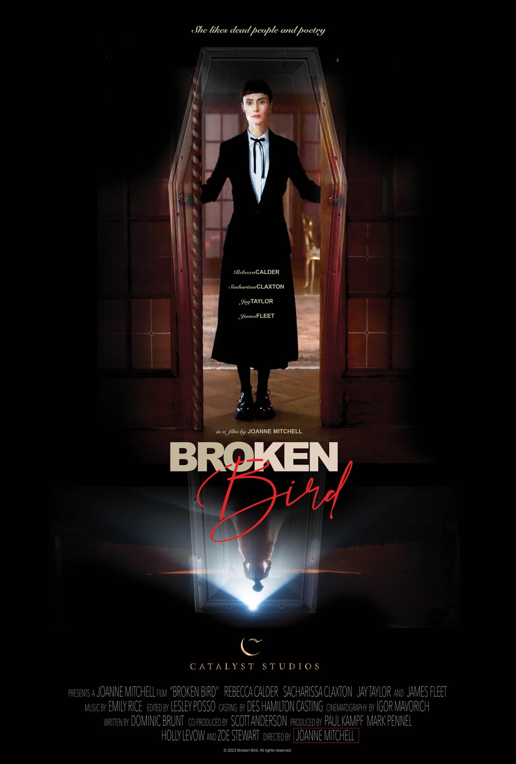 Extra Large Movie Poster Image for Broken Bird 