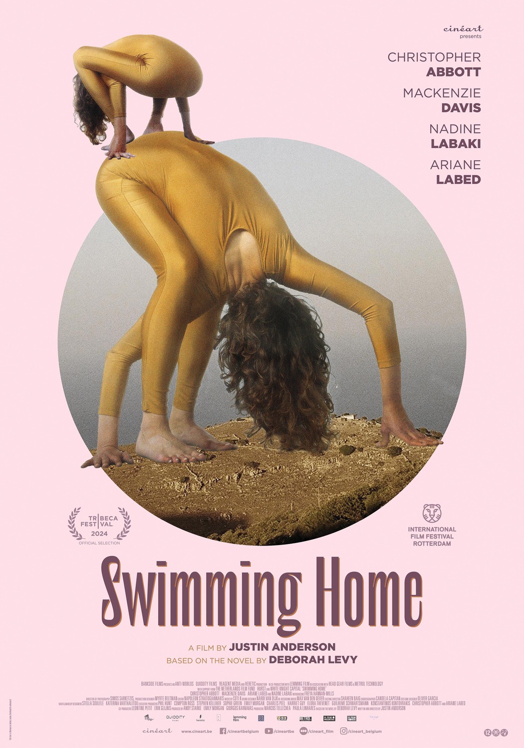 Extra Large Movie Poster Image for Swimming Home 