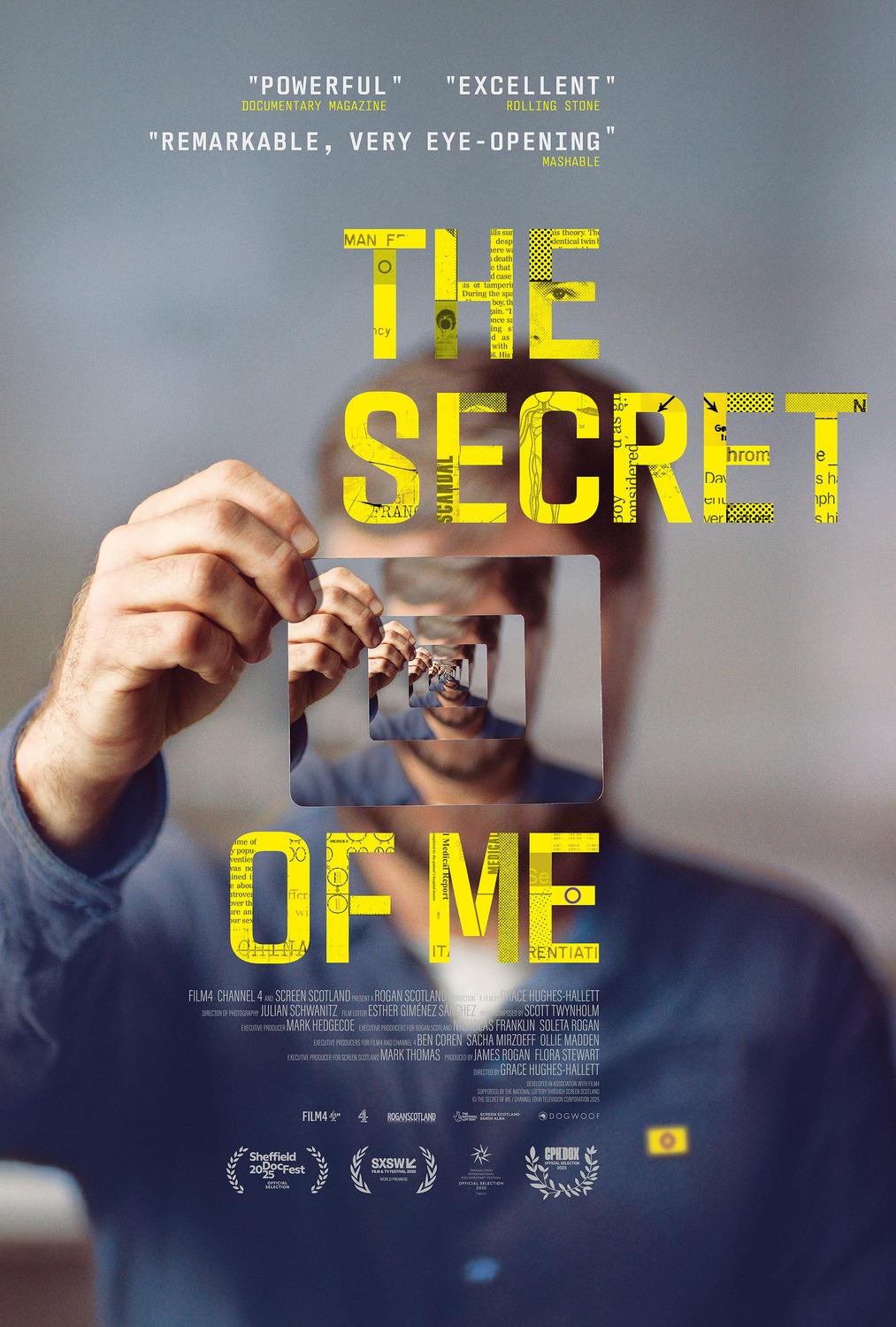 Extra Large Movie Poster Image for The Secret of Me 