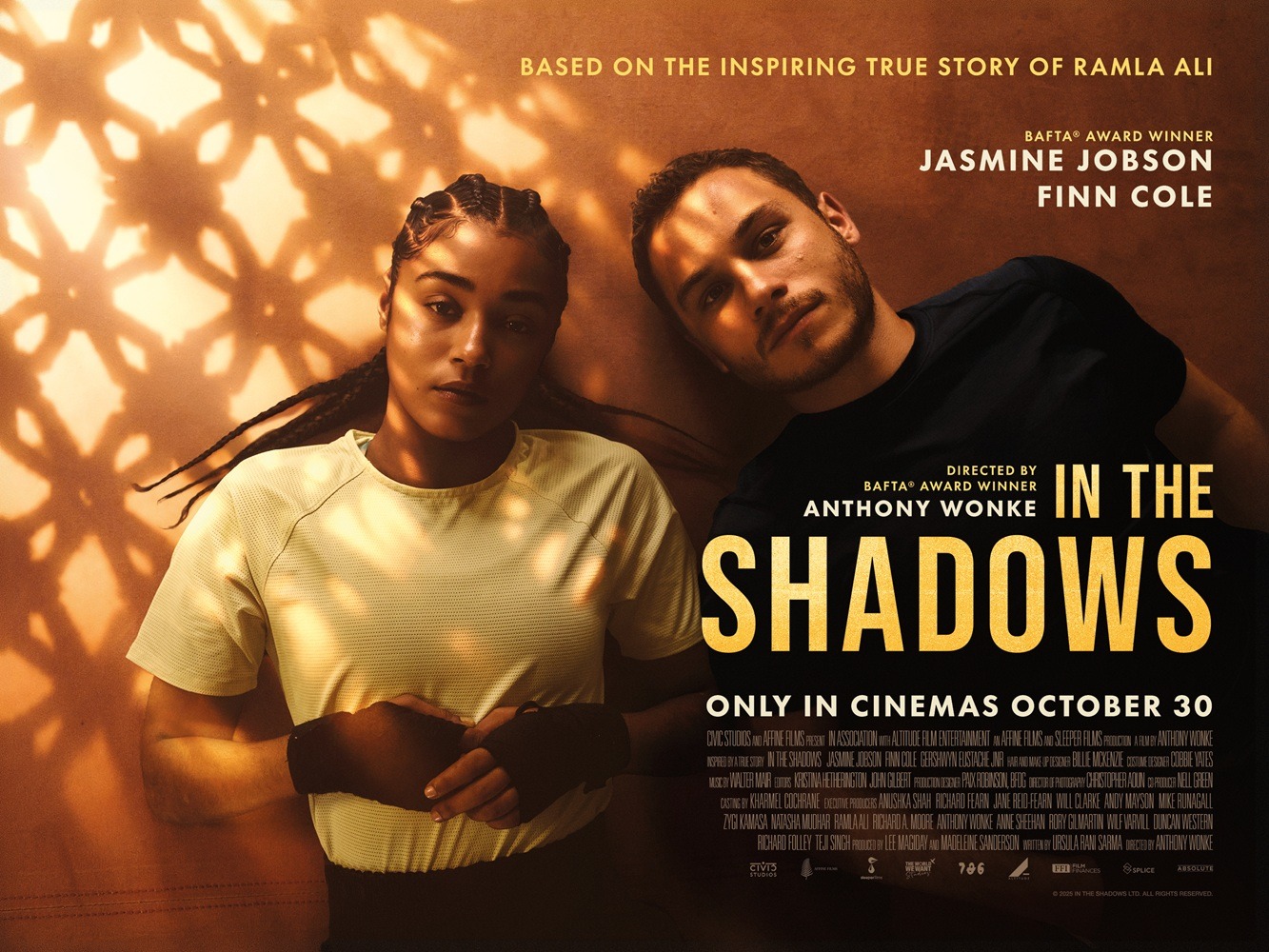 Extra Large Movie Poster Image for In the Shadows 