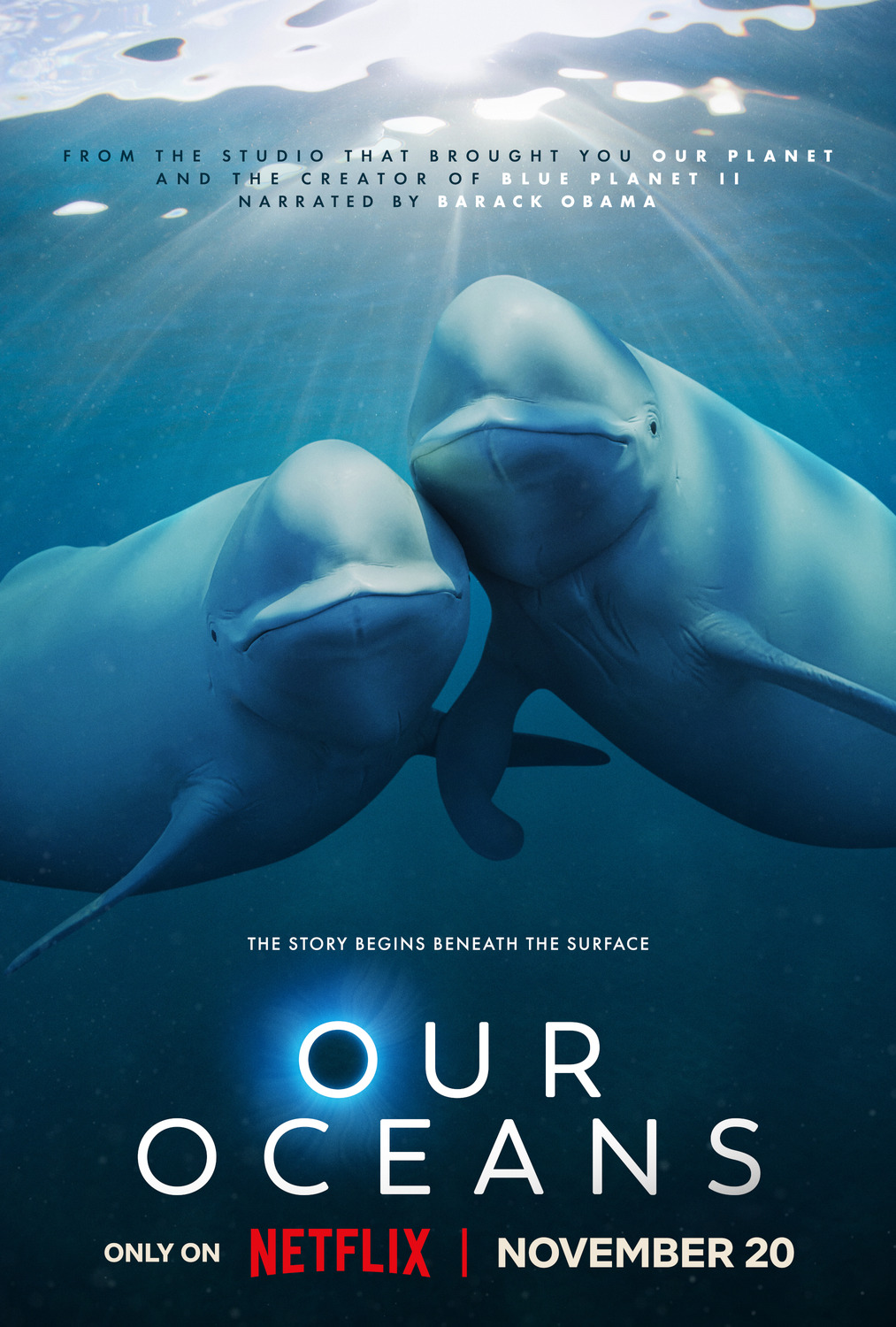 Extra Large TV Poster Image for Our Oceans (#1 of 2)