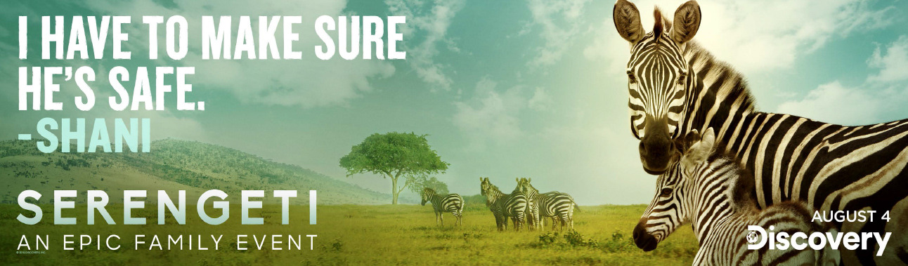 Extra Large TV Poster Image for Serengeti (#2 of 8)