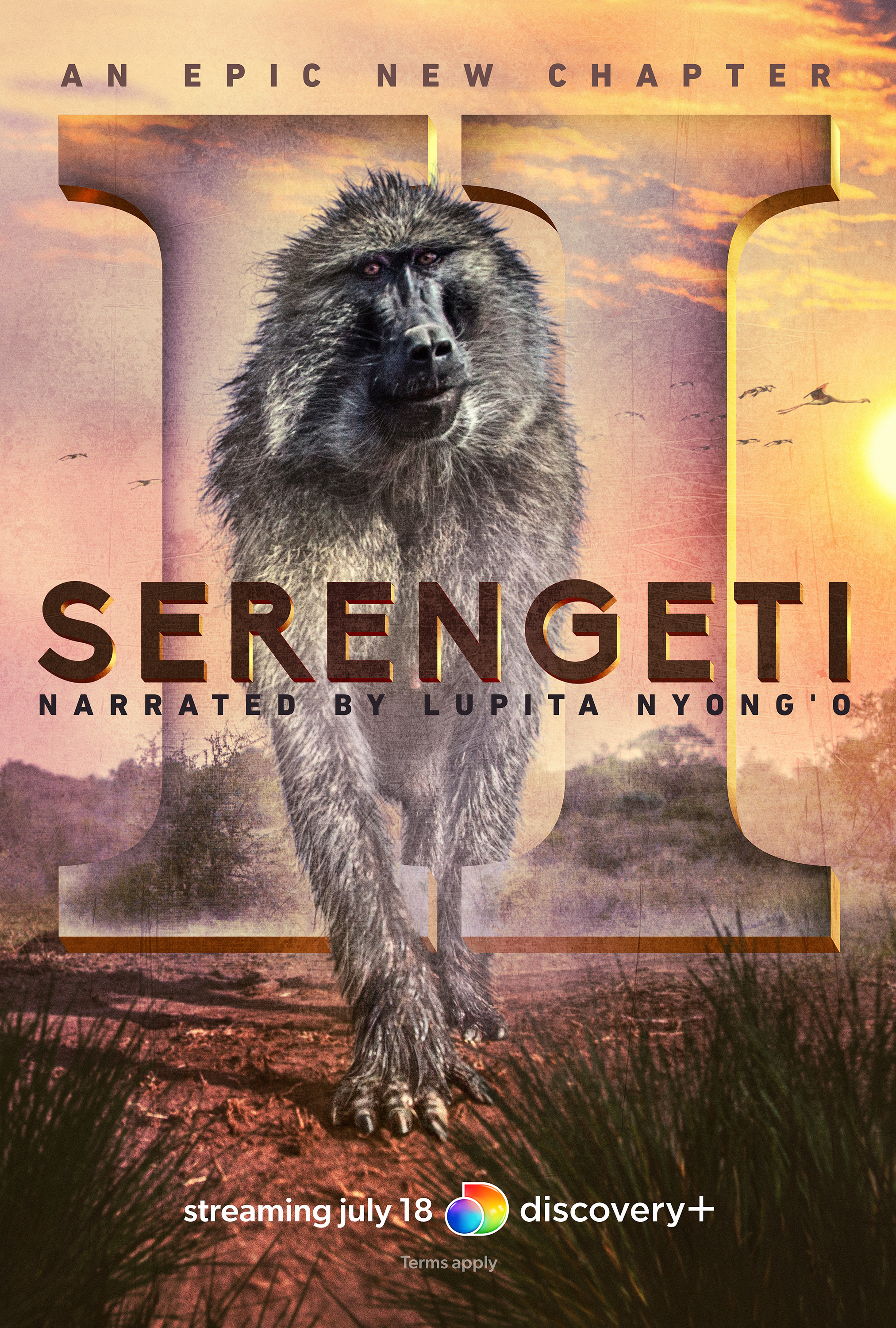 Mega Sized TV Poster Image for Serengeti (#5 of 8)