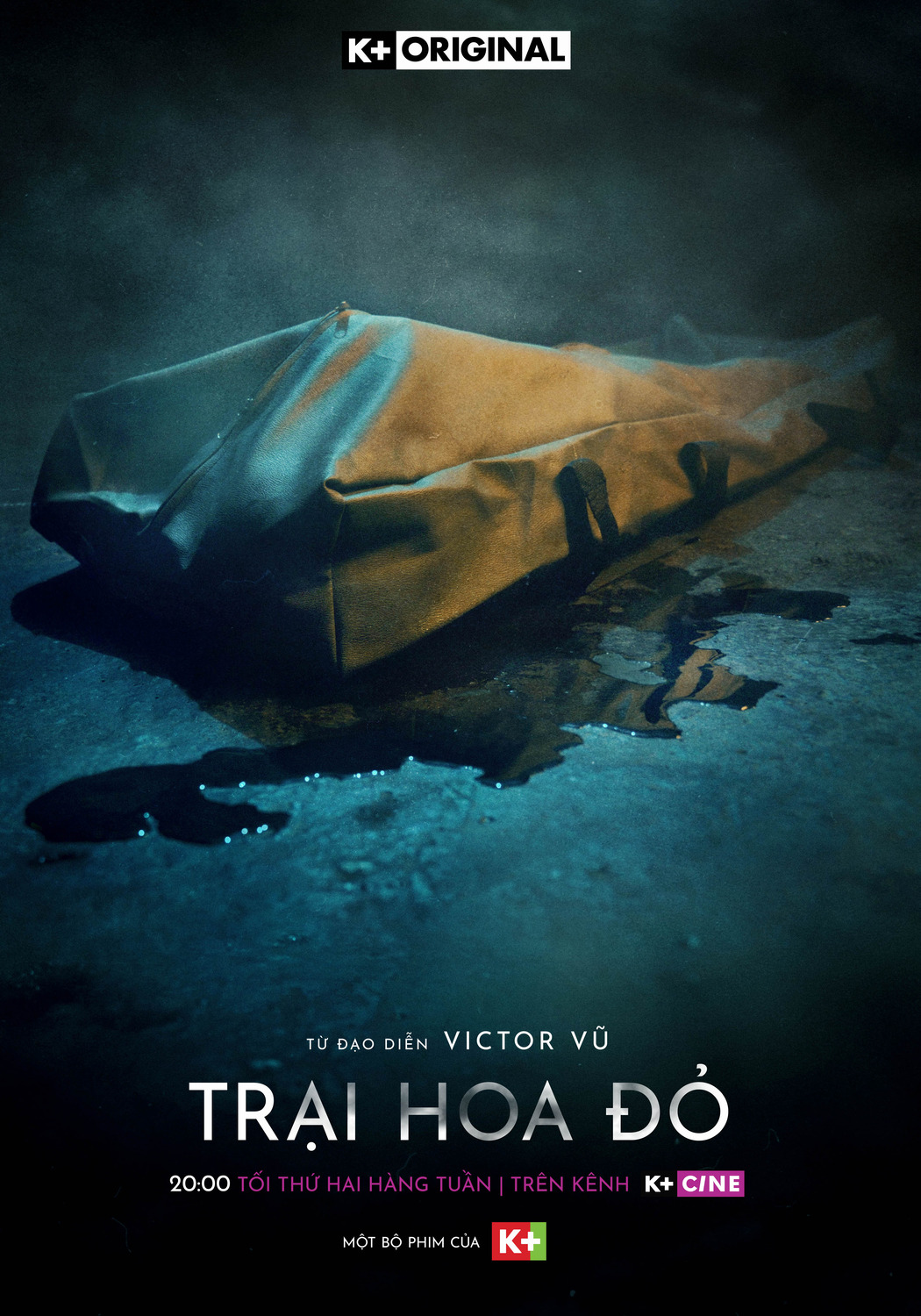 Extra Large TV Poster Image for Trai Hoa Do (#8 of 13)