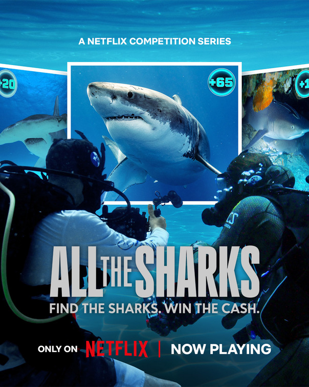 All the Sharks Movie Poster