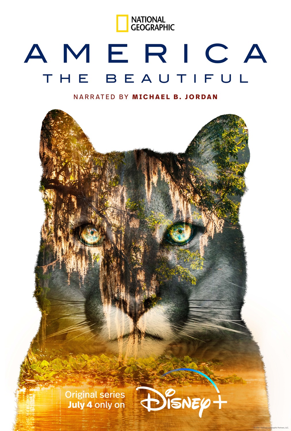 Extra Large TV Poster Image for America the Beautiful (#3 of 13)