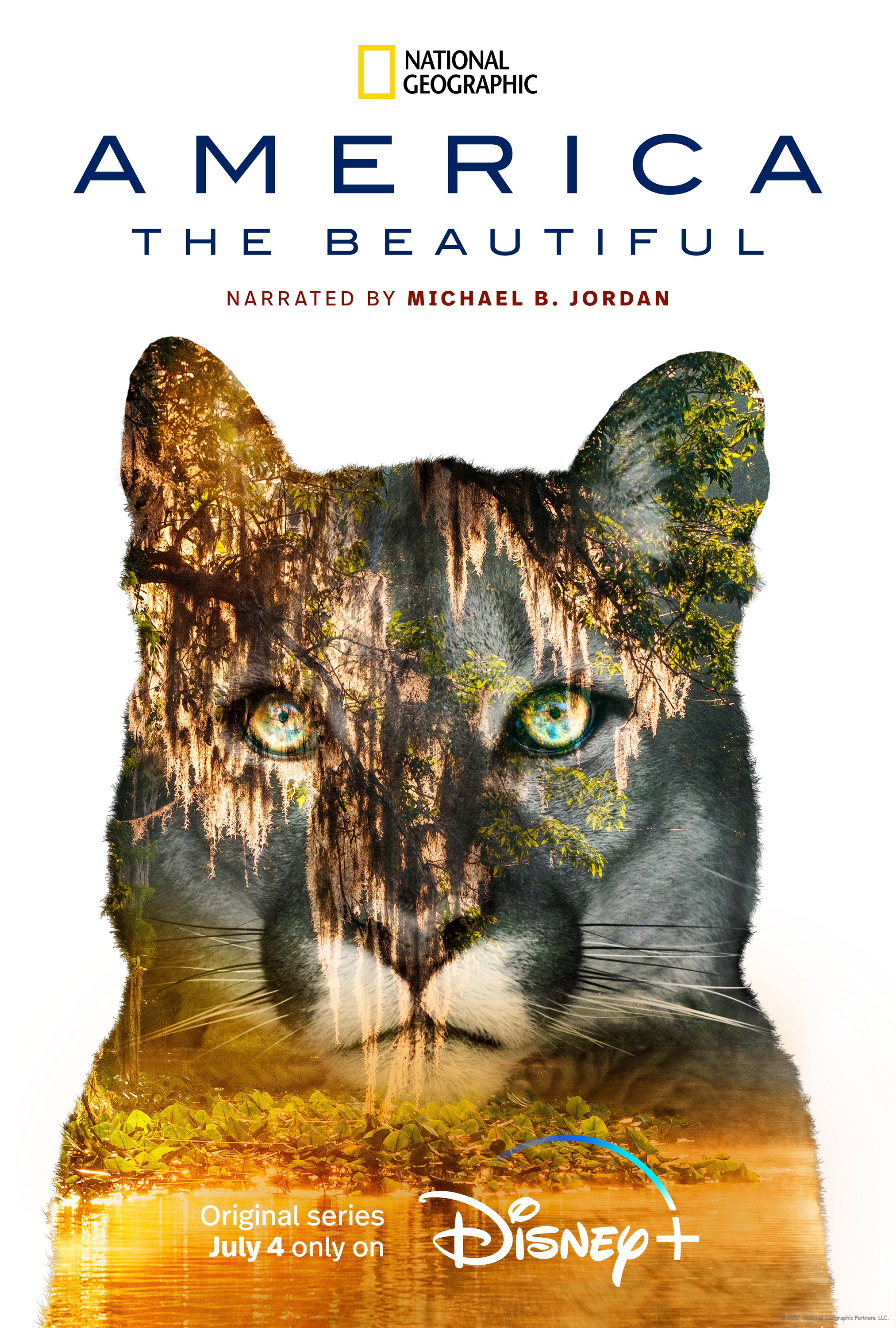Mega Sized TV Poster Image for America the Beautiful (#3 of 13)