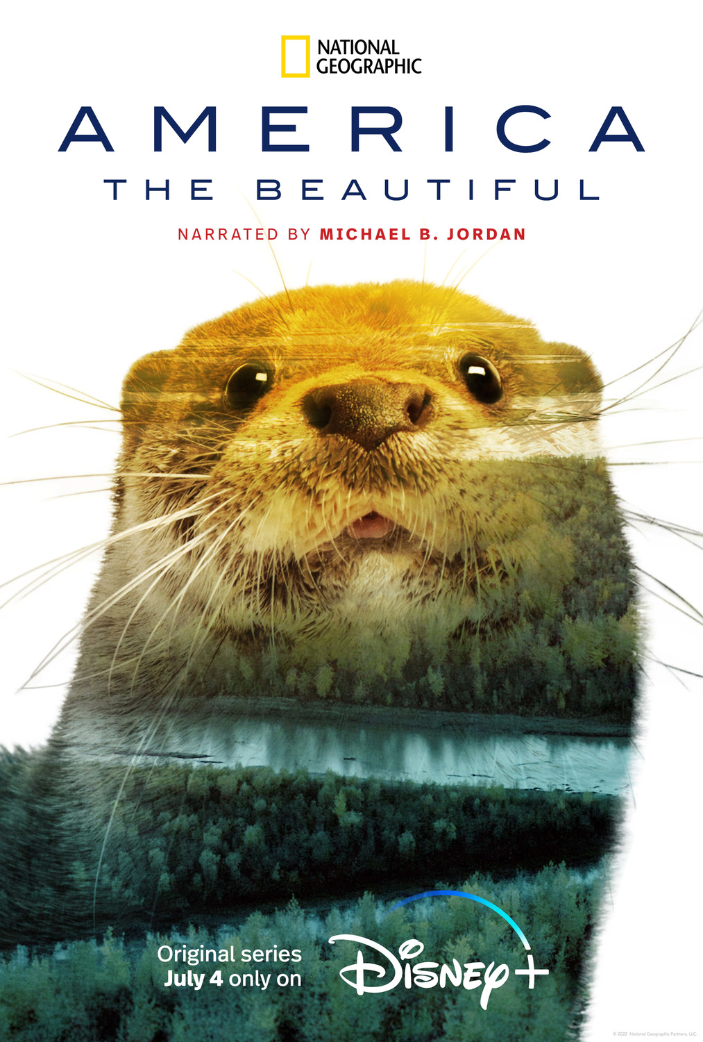 Extra Large TV Poster Image for America the Beautiful (#8 of 13)