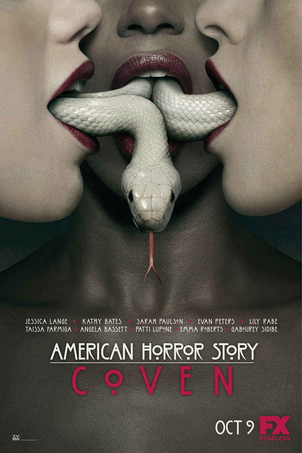 Extra Large TV Poster Image for American Horror Story (#13 of 176)