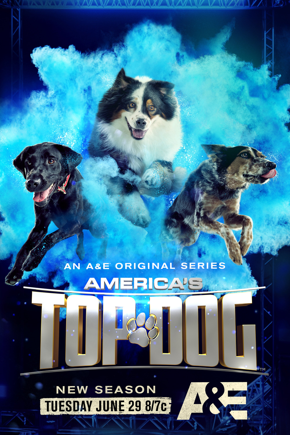 Extra Large TV Poster Image for America's Top Dog (#1 of 3)