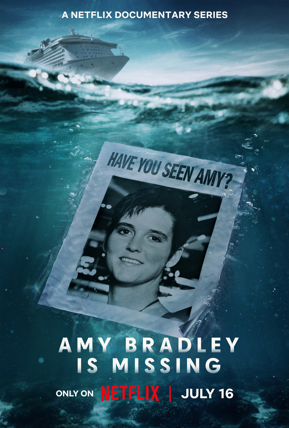 Extra Large TV Poster Image for Amy Bradley Is Missing 