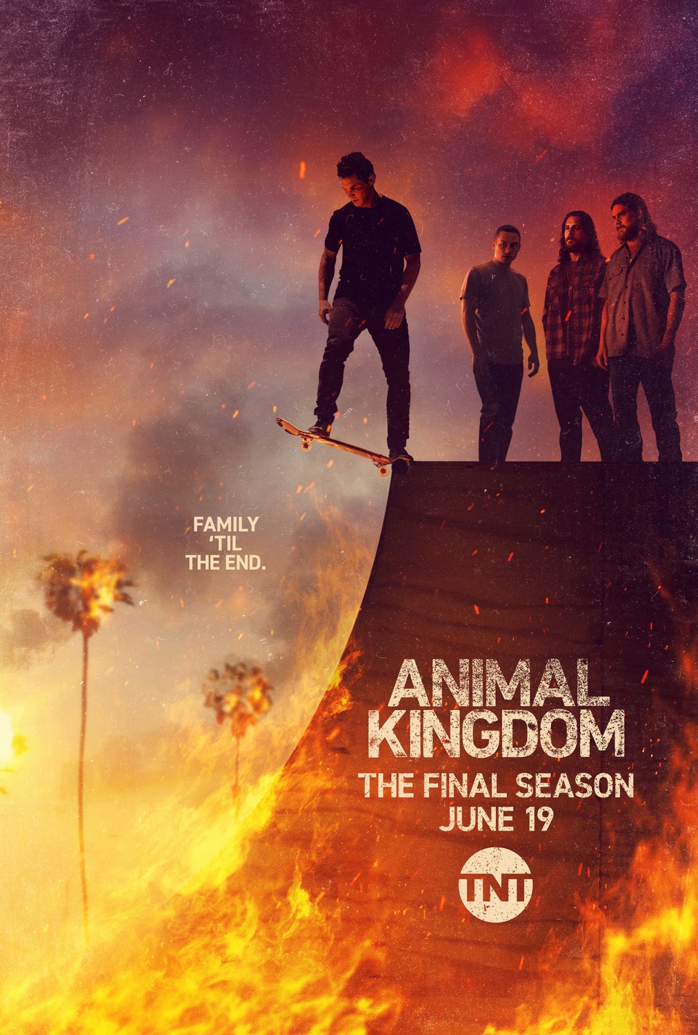 Extra Large TV Poster Image for Animal Kingdom (#6 of 6)