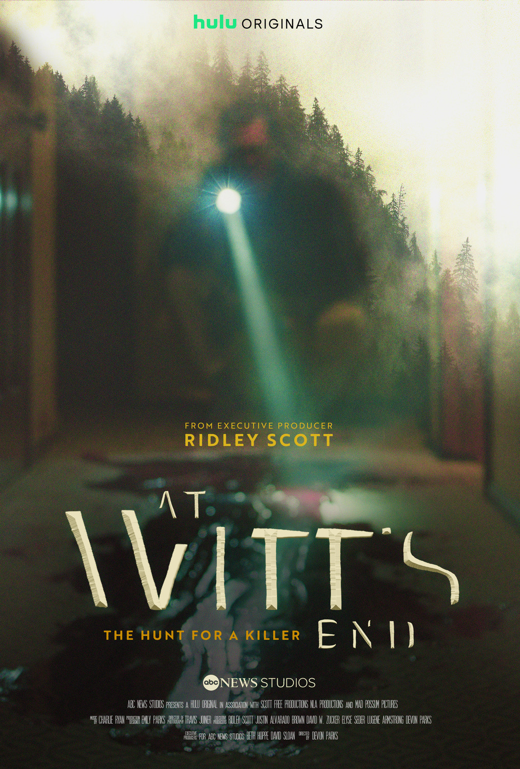 Extra Large TV Poster Image for At Witt's End: the Hunt for A Killer 