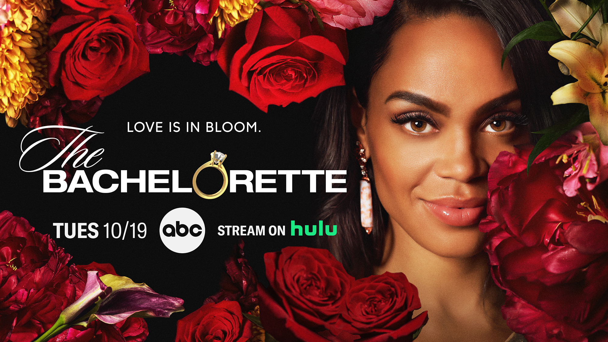 Mega Sized TV Poster Image for The Bachelorette (#23 of 23)