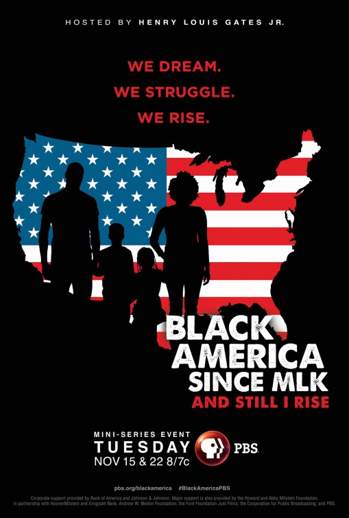 Black America Since MLK: And Still I Rise Movie Poster