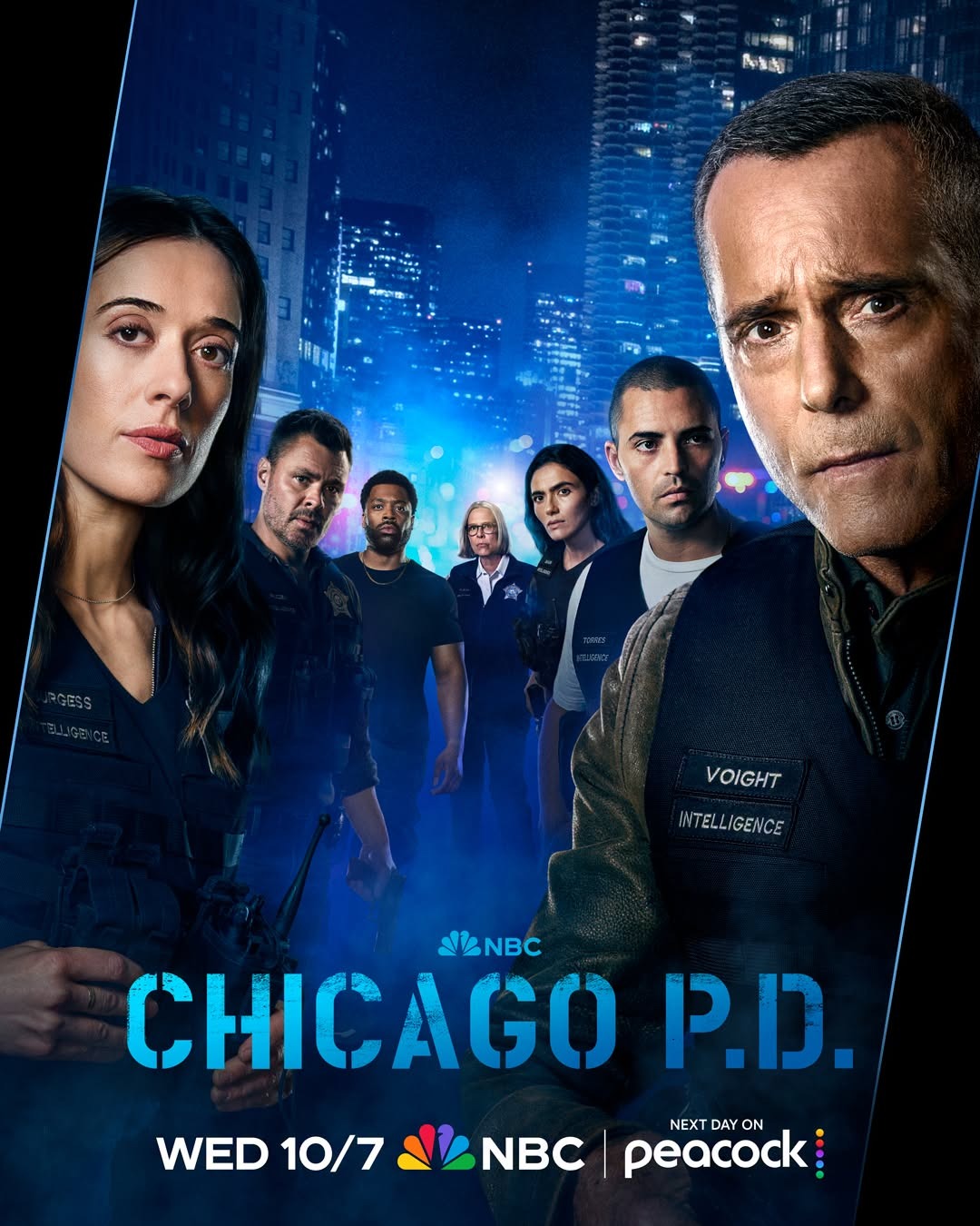 Extra Large TV Poster Image for Chicago PD (#6 of 6)