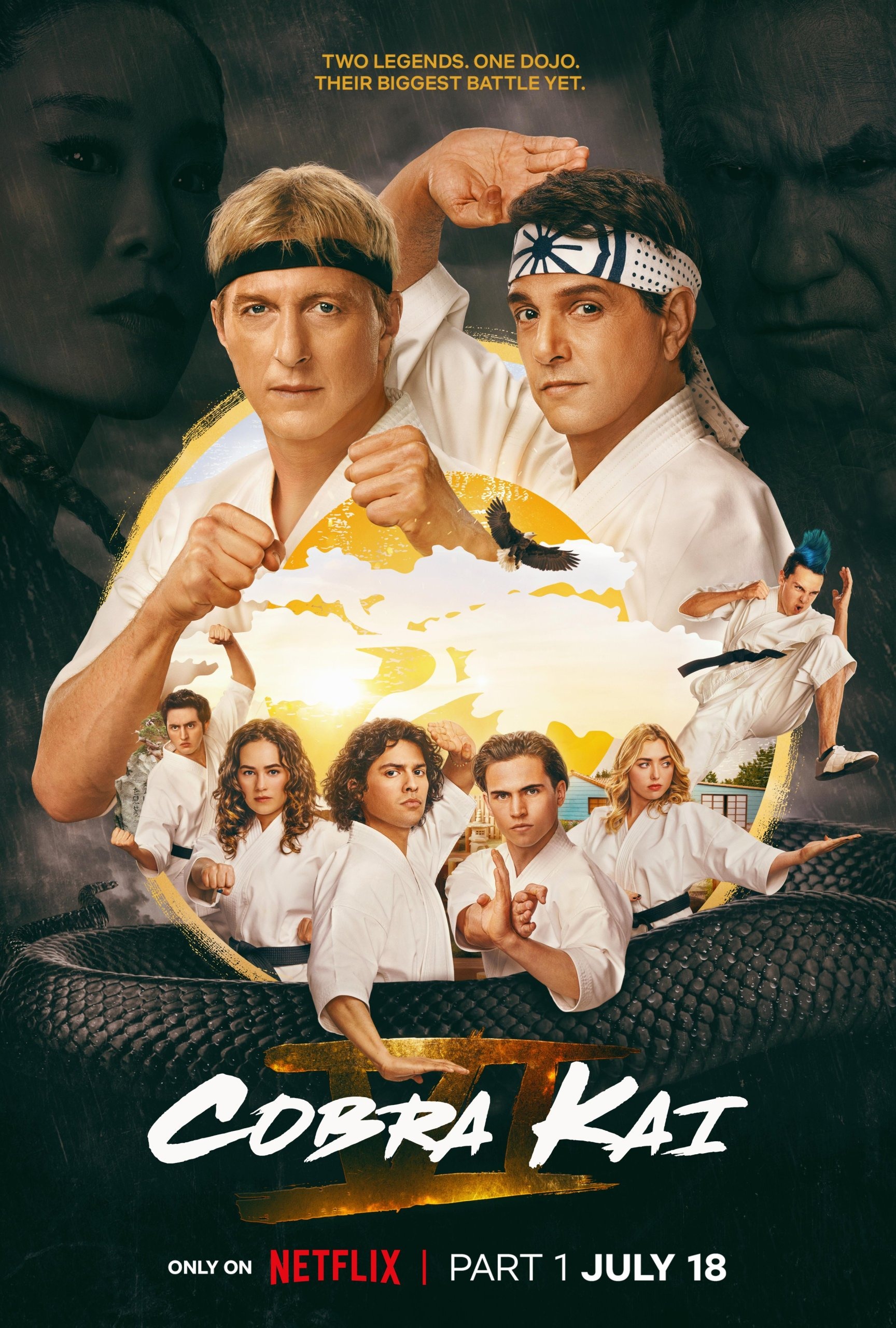 Mega Sized TV Poster Image for Cobra Kai (#21 of 26)