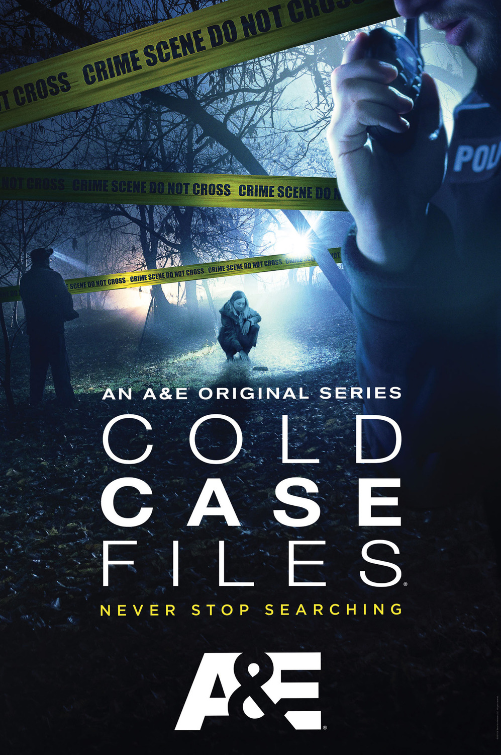 Extra Large TV Poster Image for Cold Case Files (#1 of 2)